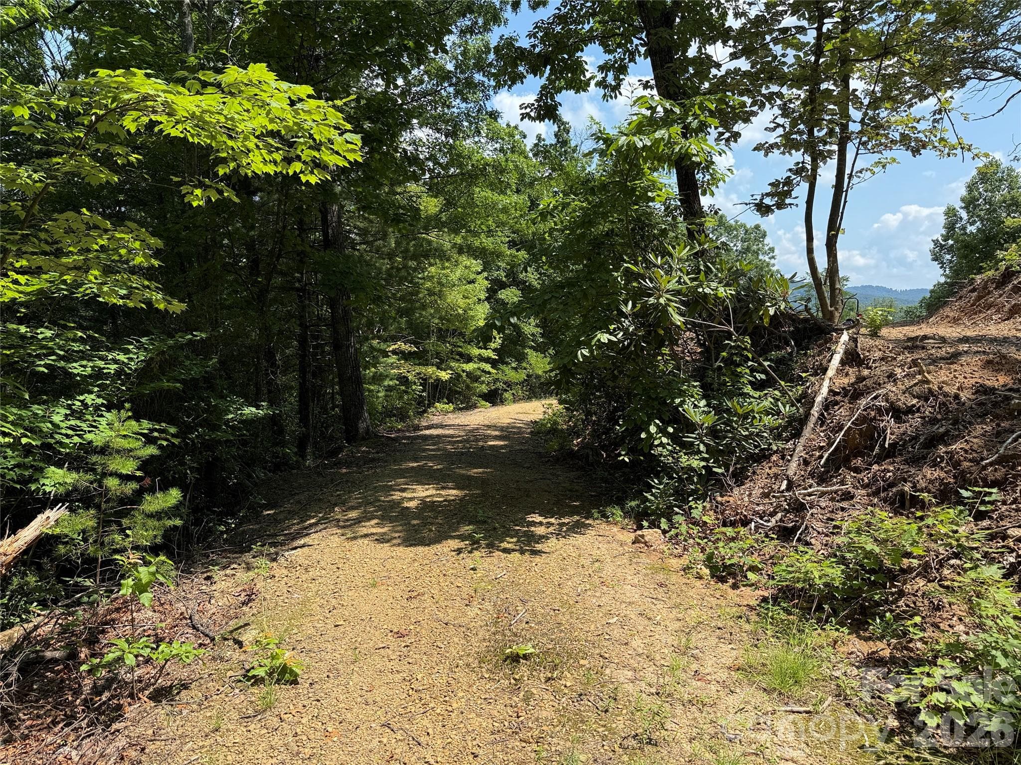 Driveway to building site - 337 Lucas Path Drive, Purlear
