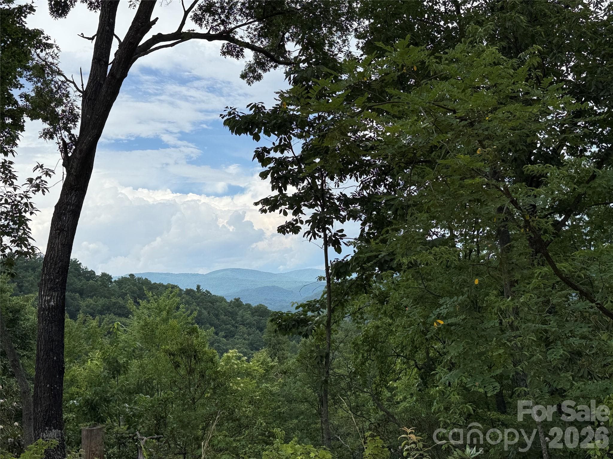 View from 337 Lucas Path Drive - 337 Lucas Path Drive, Purlear