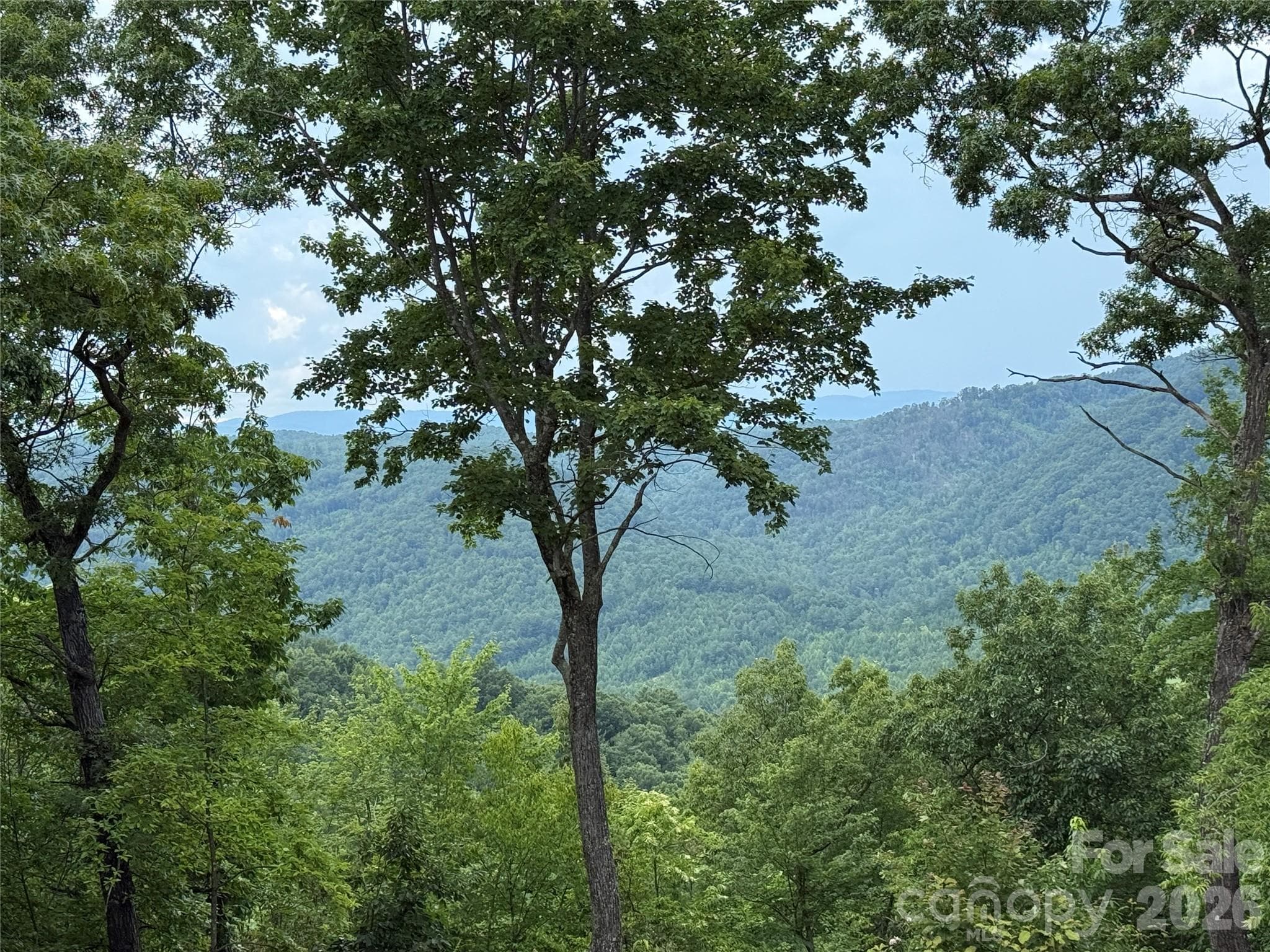 View from 337 Lucas Path Drive - 337 Lucas Path Drive, Purlear