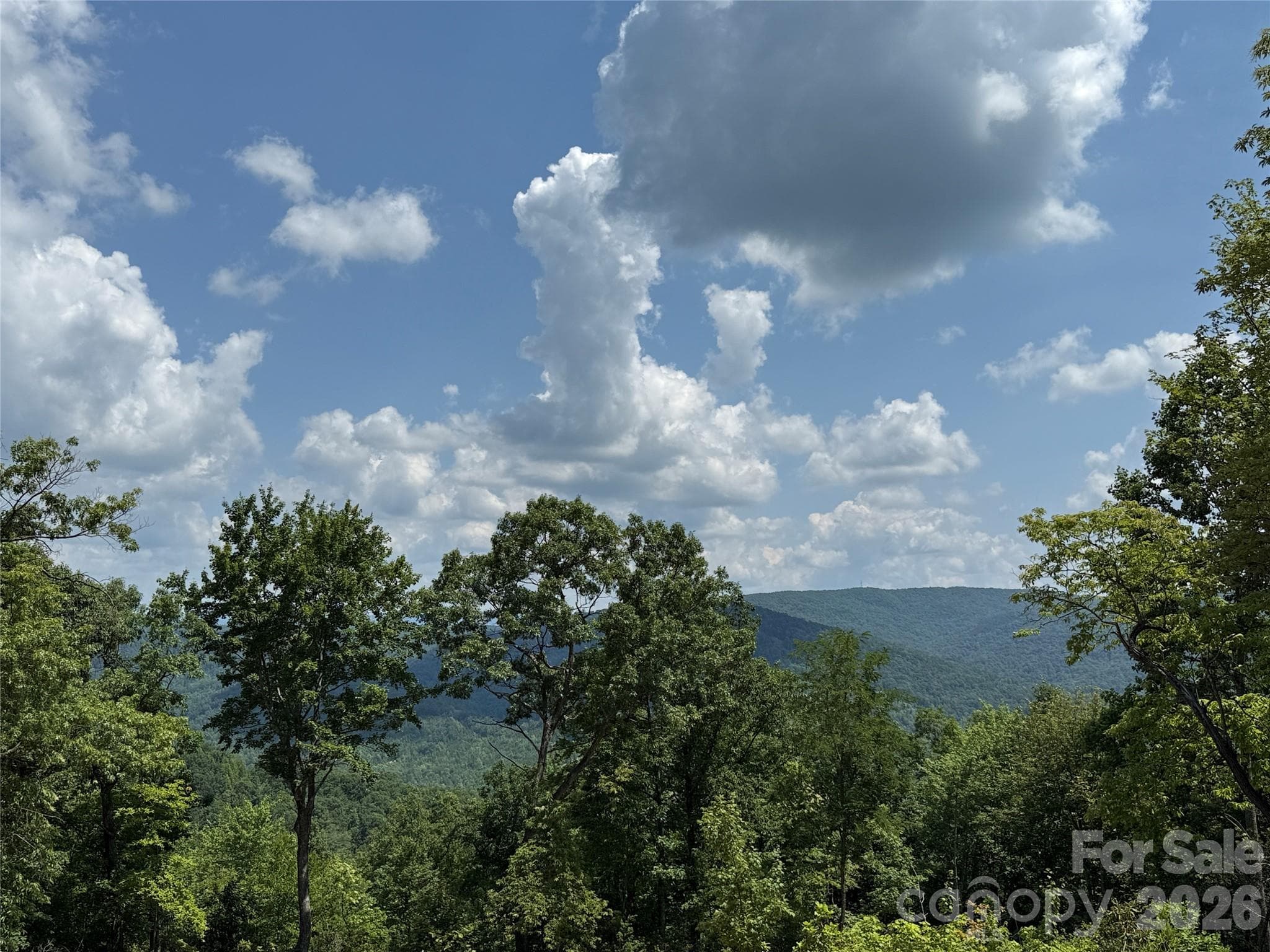 View from 337 Lucas Path Drive - 337 Lucas Path Drive, Purlear