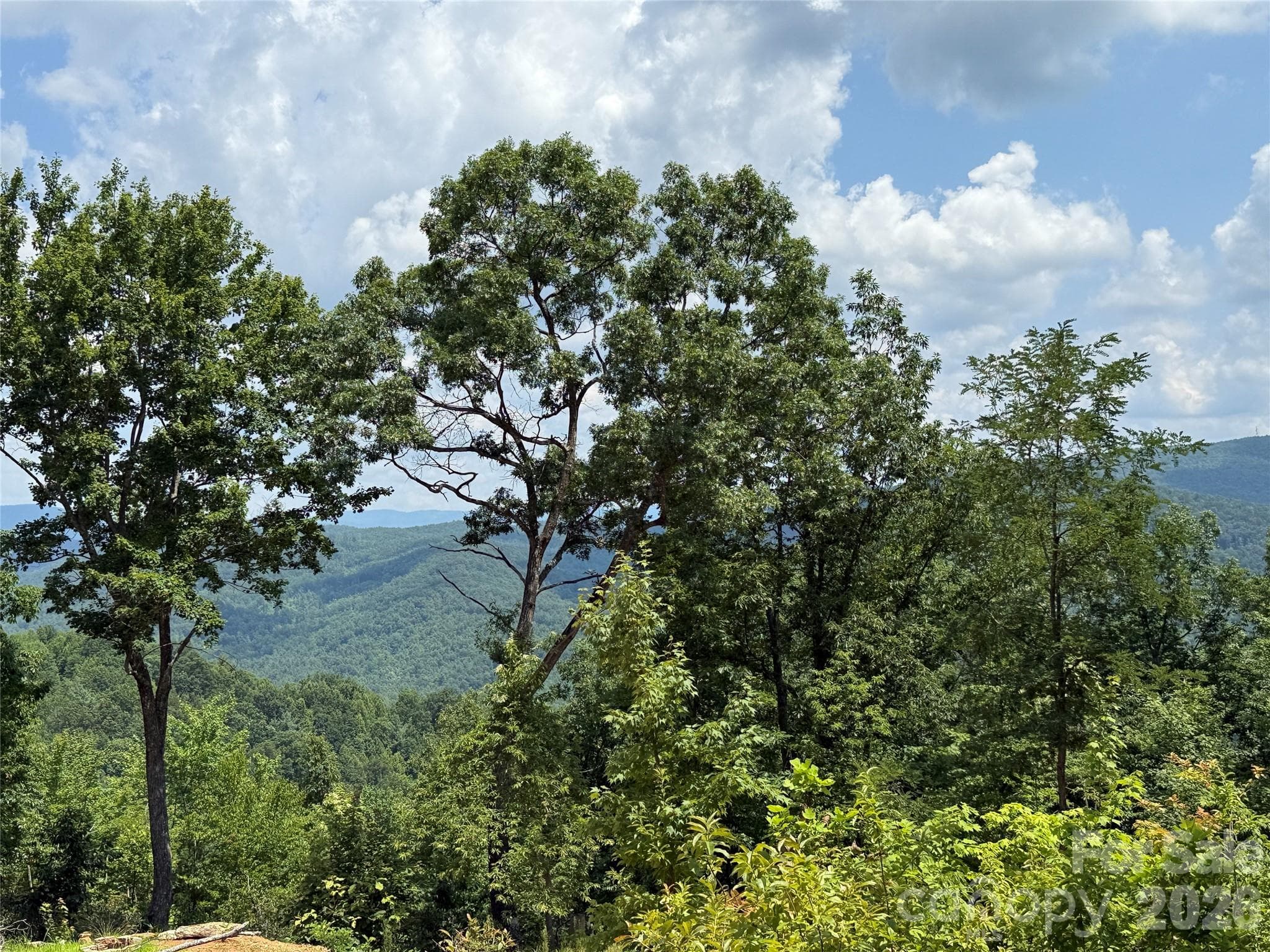 View from 337 Lucas Path Drive - 337 Lucas Path Drive, Purlear