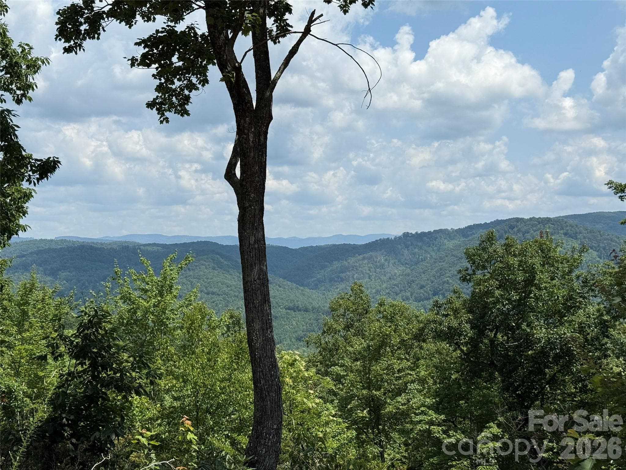 View from 337 Lucas Path Drive - 337 Lucas Path Drive, Purlear