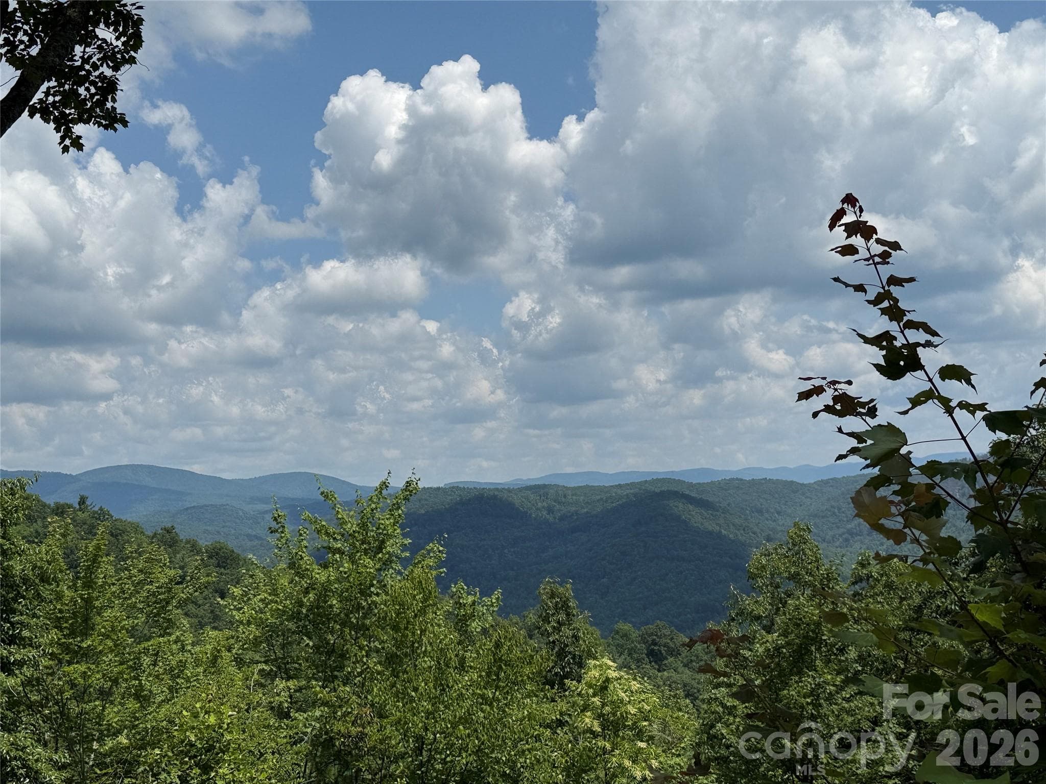 View from 337 Lucas Path Drive - 337 Lucas Path Drive, Purlear