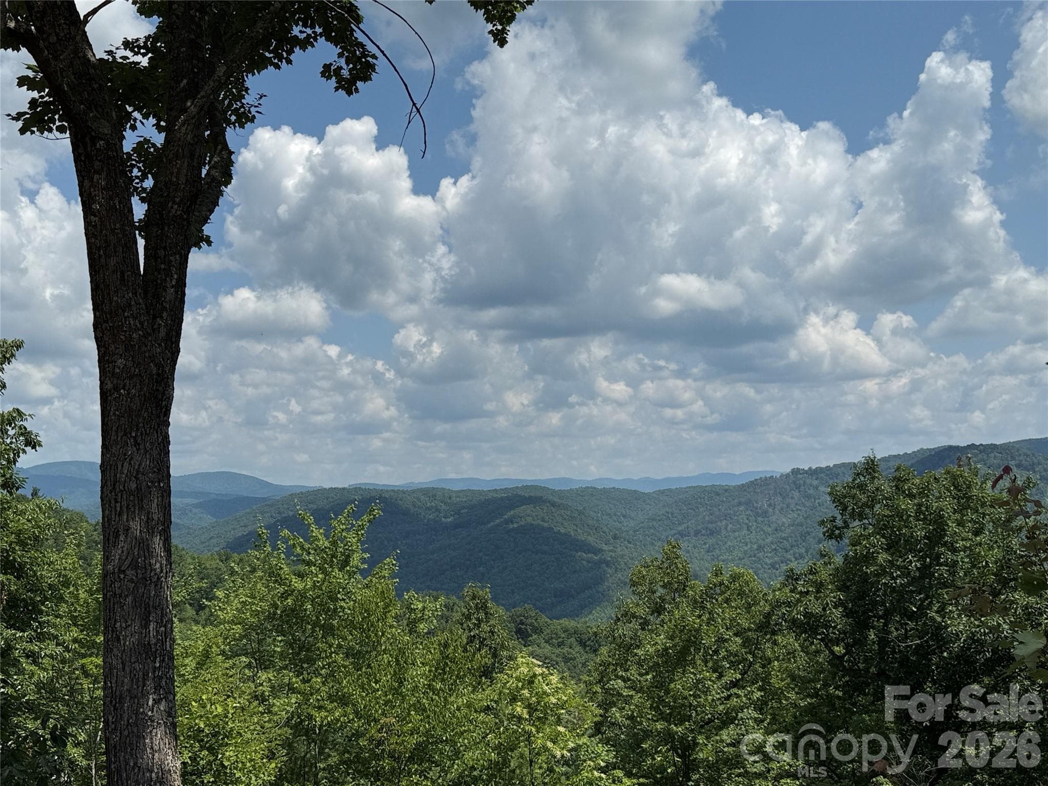 View from 337 Lucas Path Drive - 337 Lucas Path Drive, Purlear