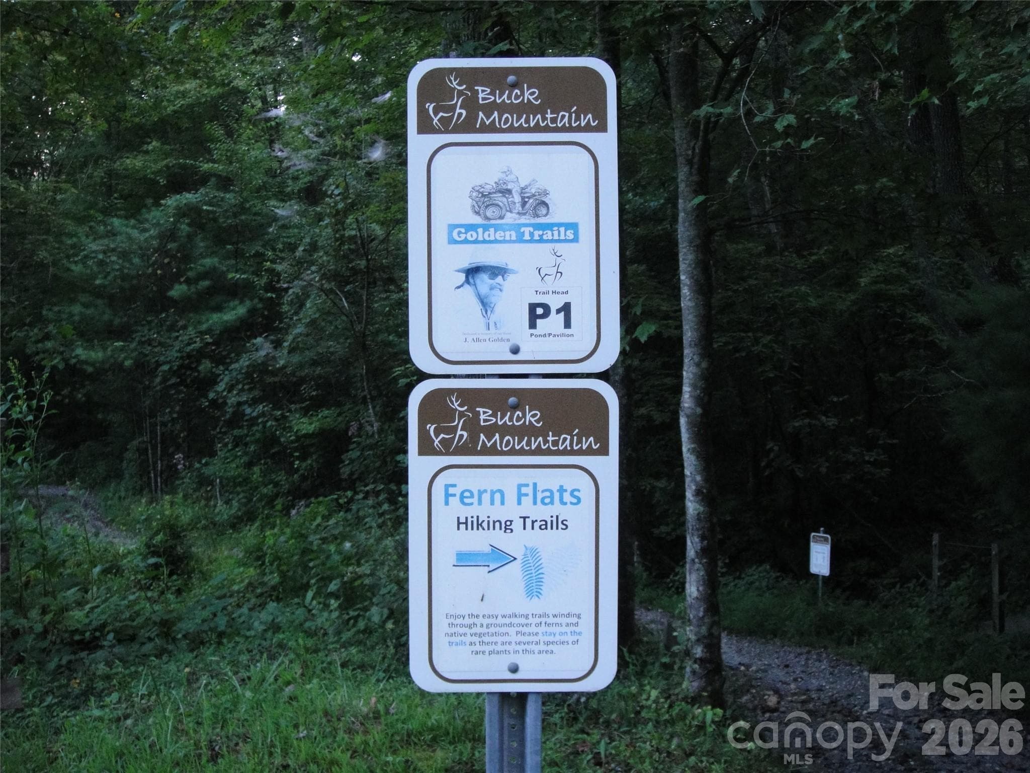 Buck Mountain offers many amenities including miles of Hiking Trails and ATV/UTV Trails. - 337 Lucas Path Drive, Purlear
