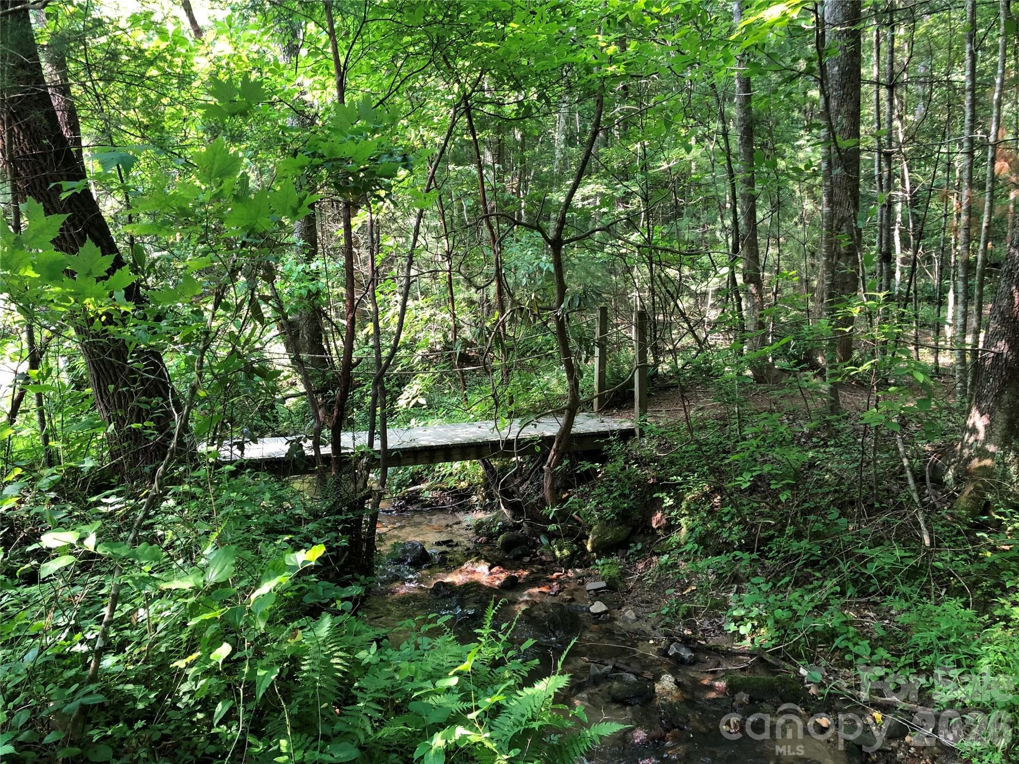 One of the scenic hiking trails within the Buck Mountain Community - 337 Lucas Path Drive, Purlear