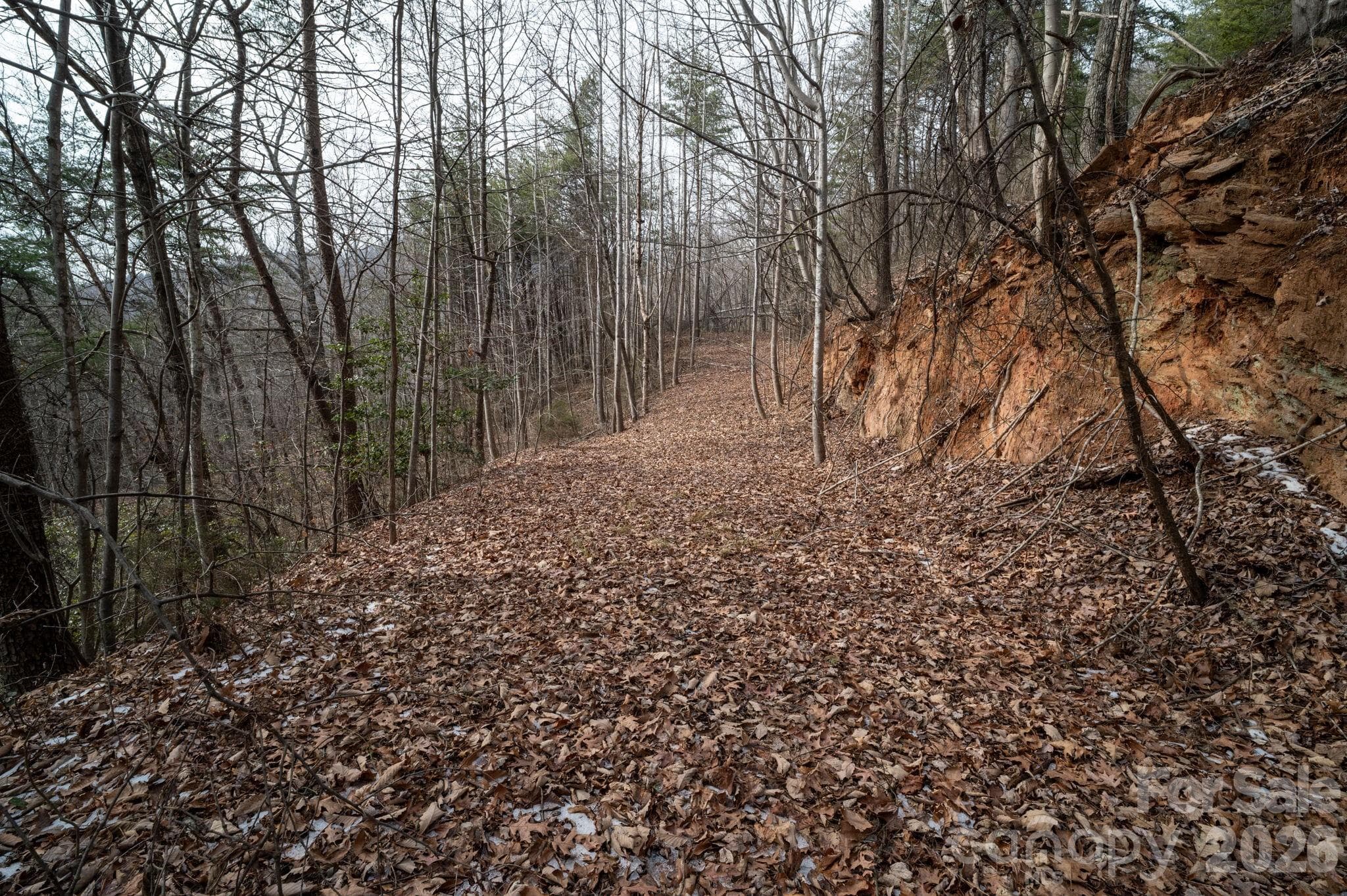Lot at 000 Pinnacle Parkway, Union Mills, photo 2 of 15