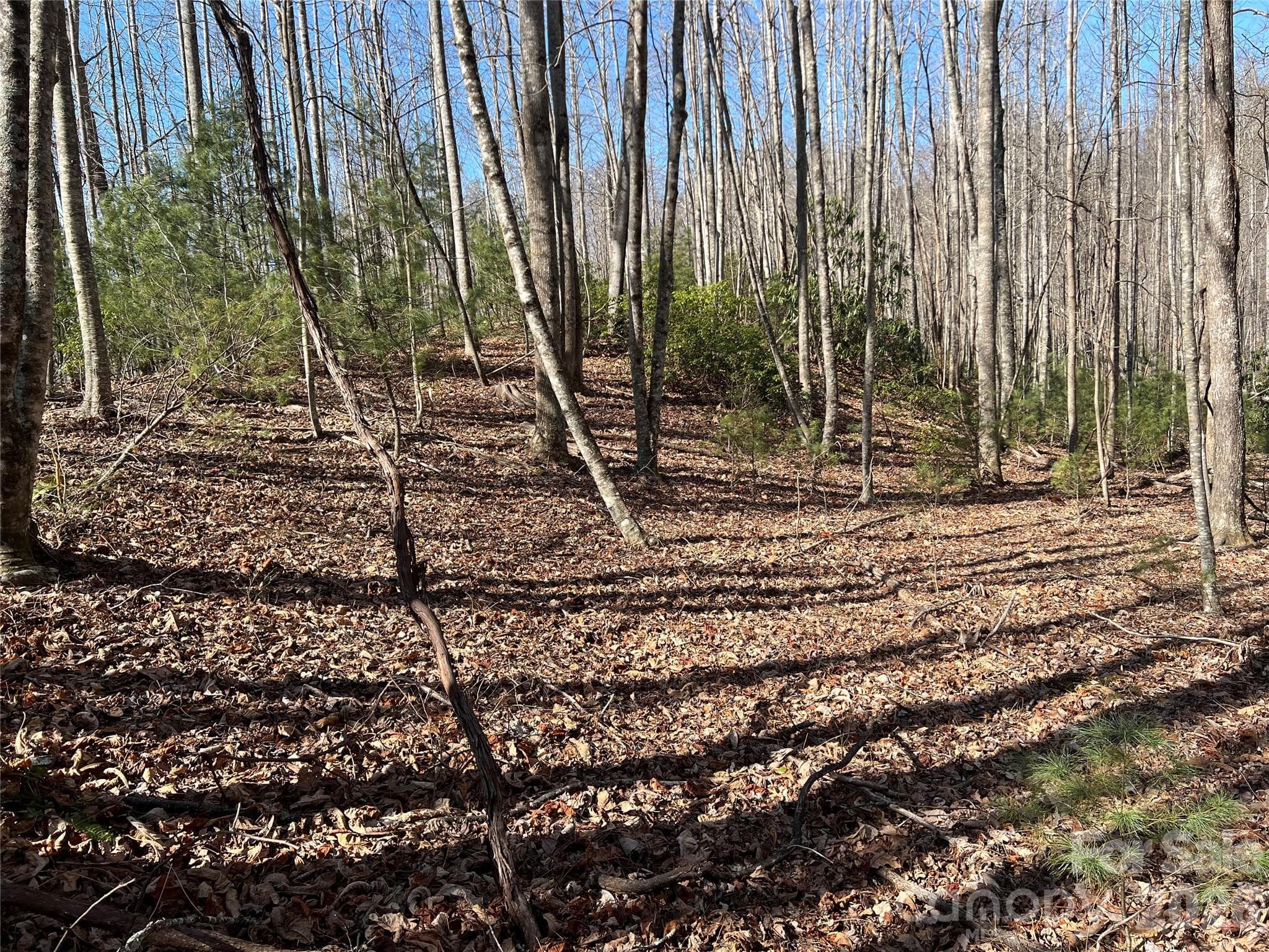 Lot at Lenoir, photo 12 of 27