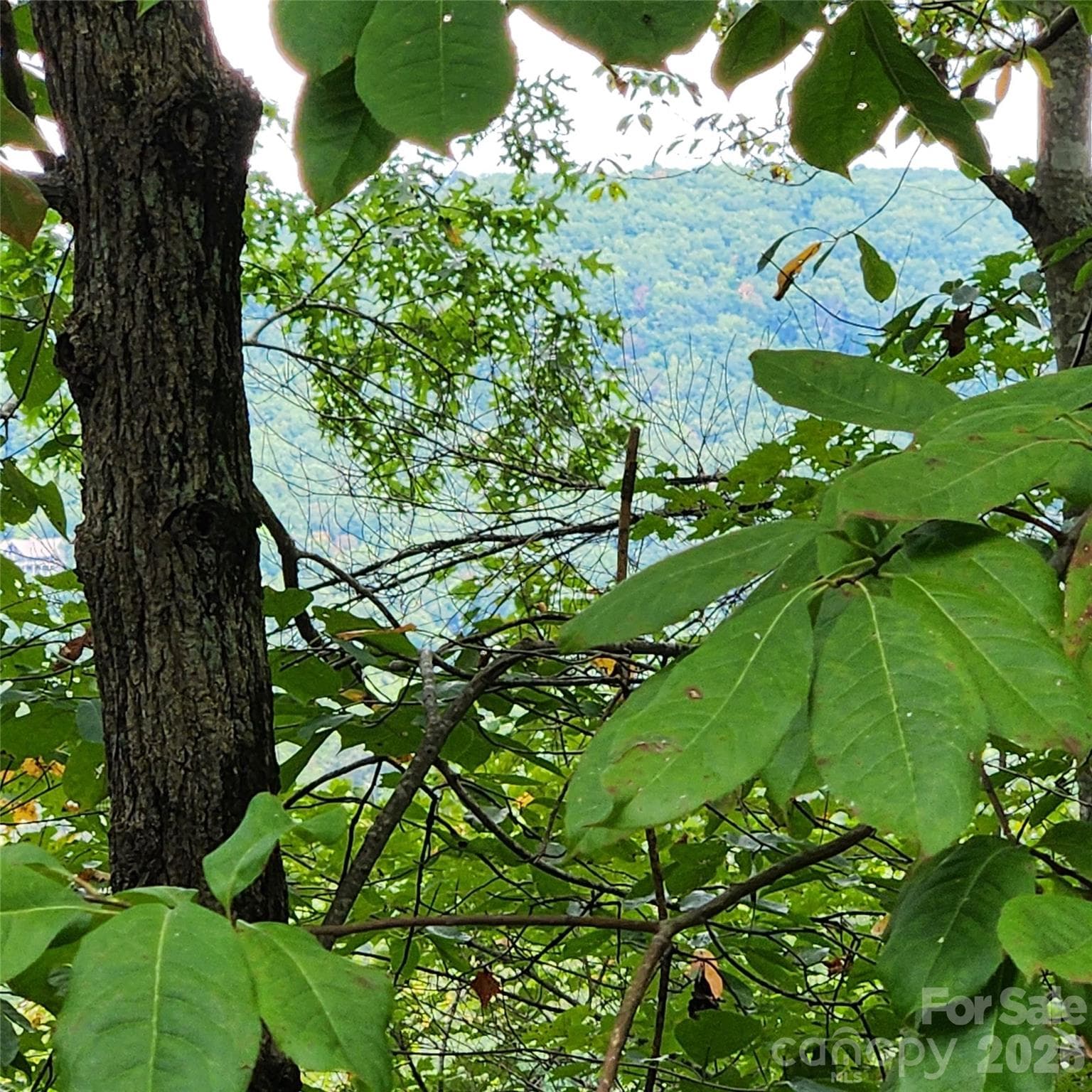 Lot at Lake Lure, photo 4 of 37