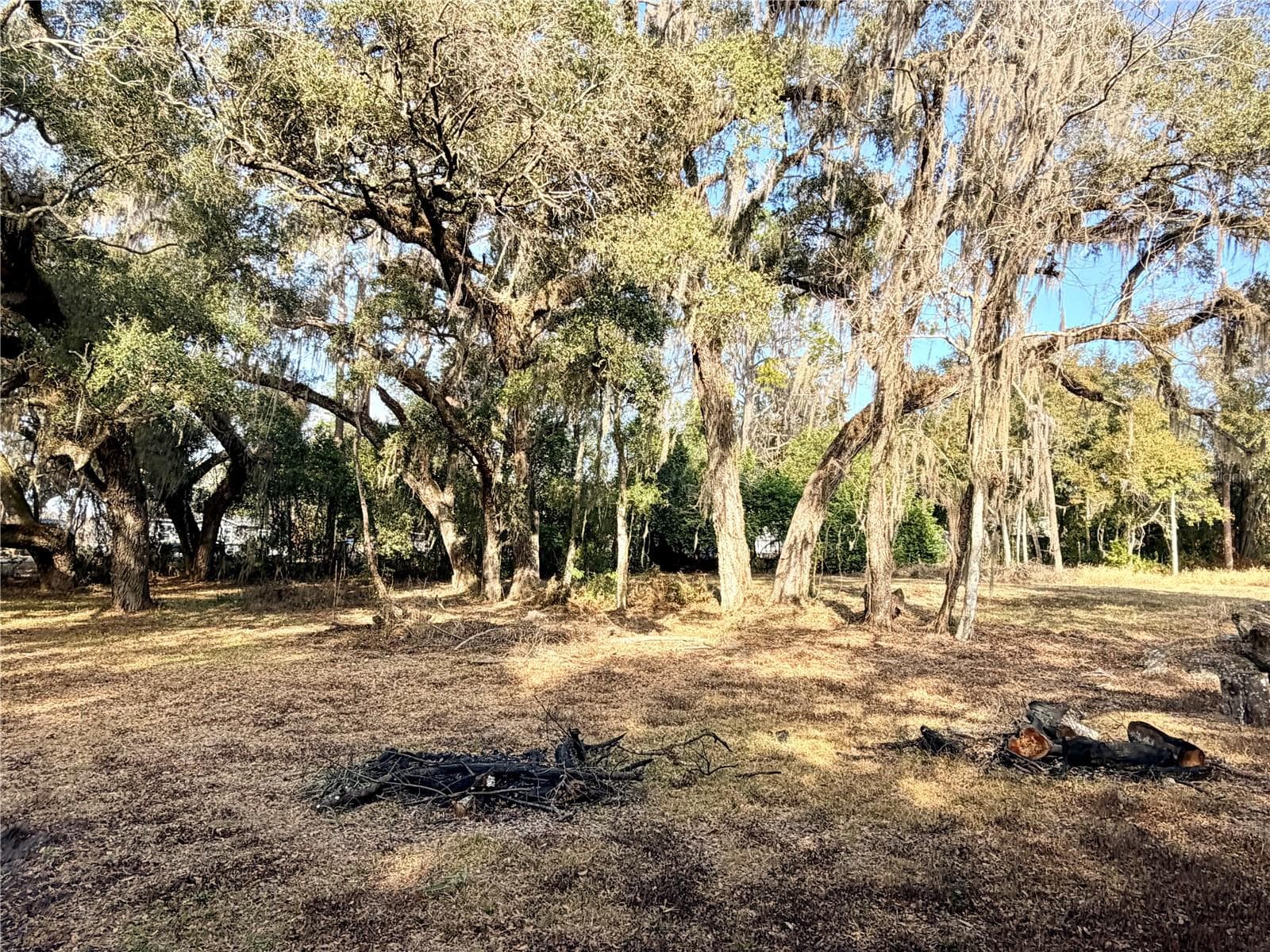 Land at 5666 S FLORIDA AVE, FLORAL CITY, photo 3 of 16