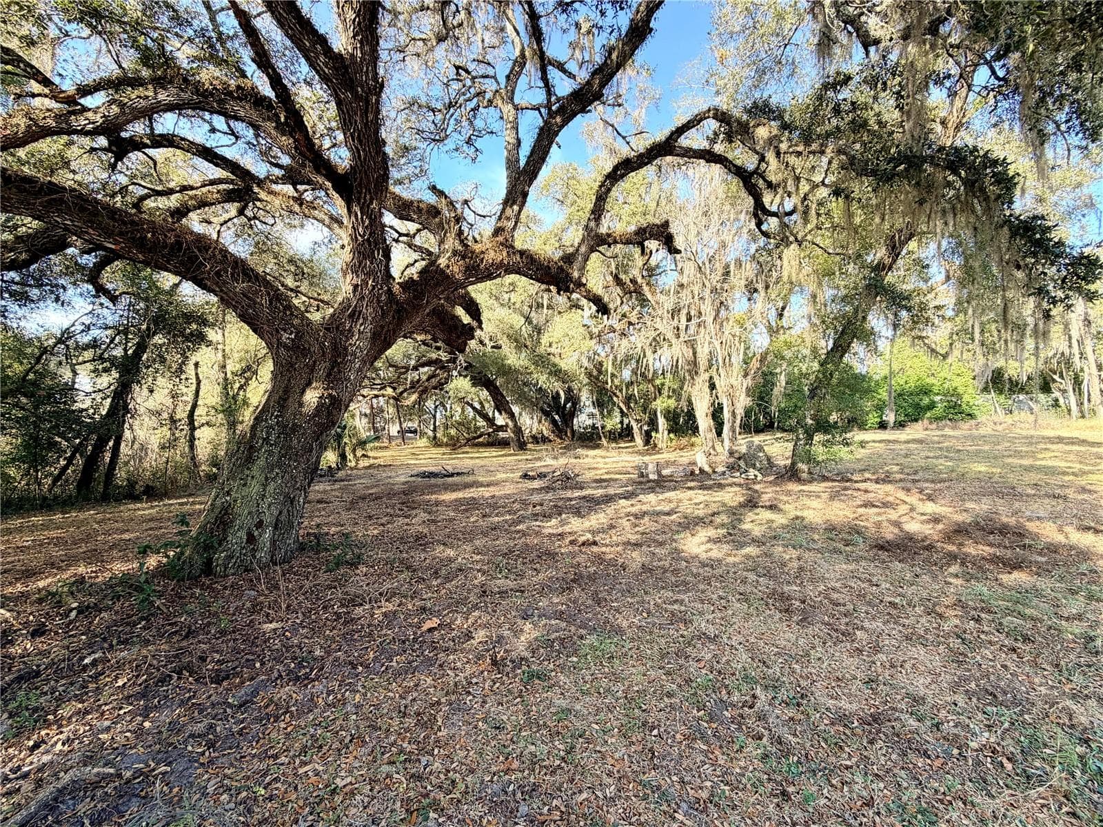 Land at 5666 S FLORIDA AVE, FLORAL CITY, photo 6 of 16