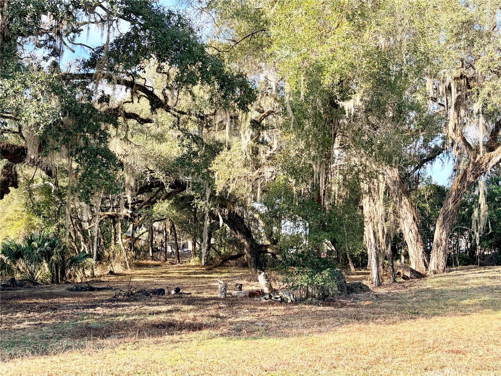Land at 5666 S FLORIDA AVE, FLORAL CITY, photo 8 of 16