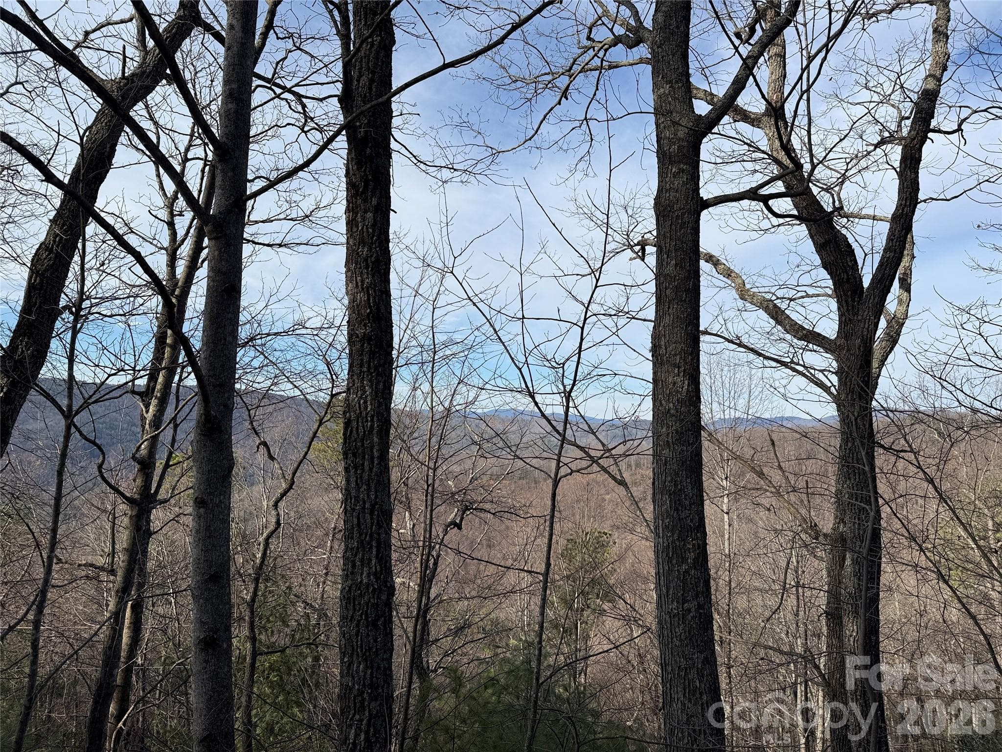 View from Lots 207 & 220 - TBD Maple Valley Lane, Purlear