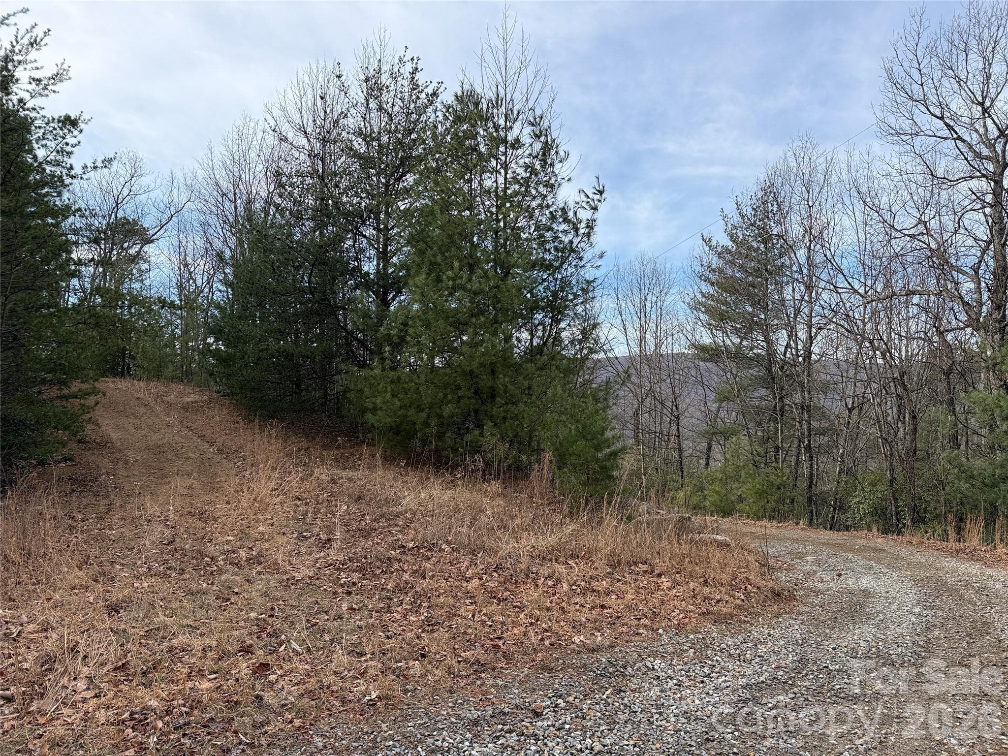 Lot at TBD Maple Valley Lane, Purlear, photo 6 of 43
