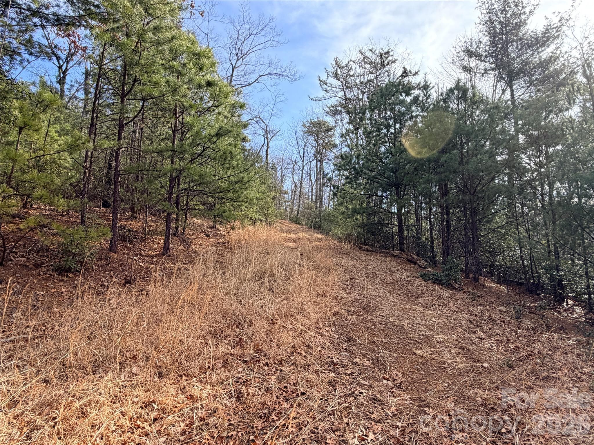 Lot at TBD Maple Valley Lane, Purlear, photo 15 of 43
