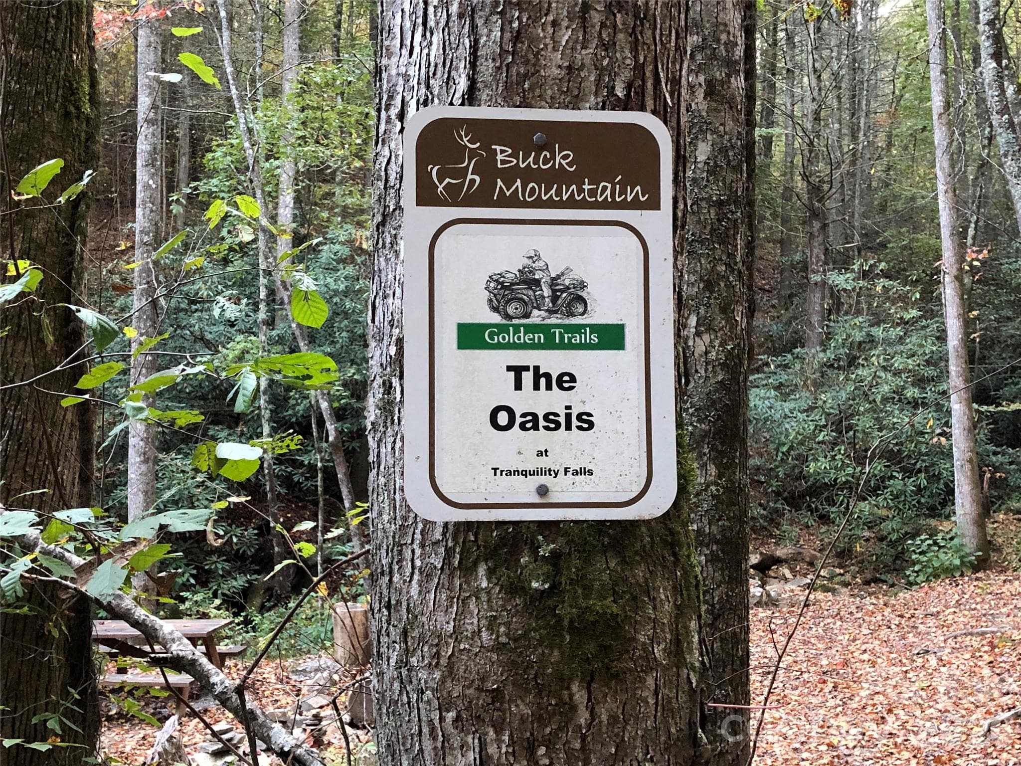 The Oasis at Tranquility Falls (Common area in Buck Mountain) - TBD Maple Valley Lane, Purlear
