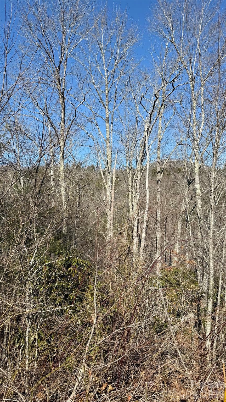 Lot at 207 Receptive Drive, Glenville, photo 16 of 27