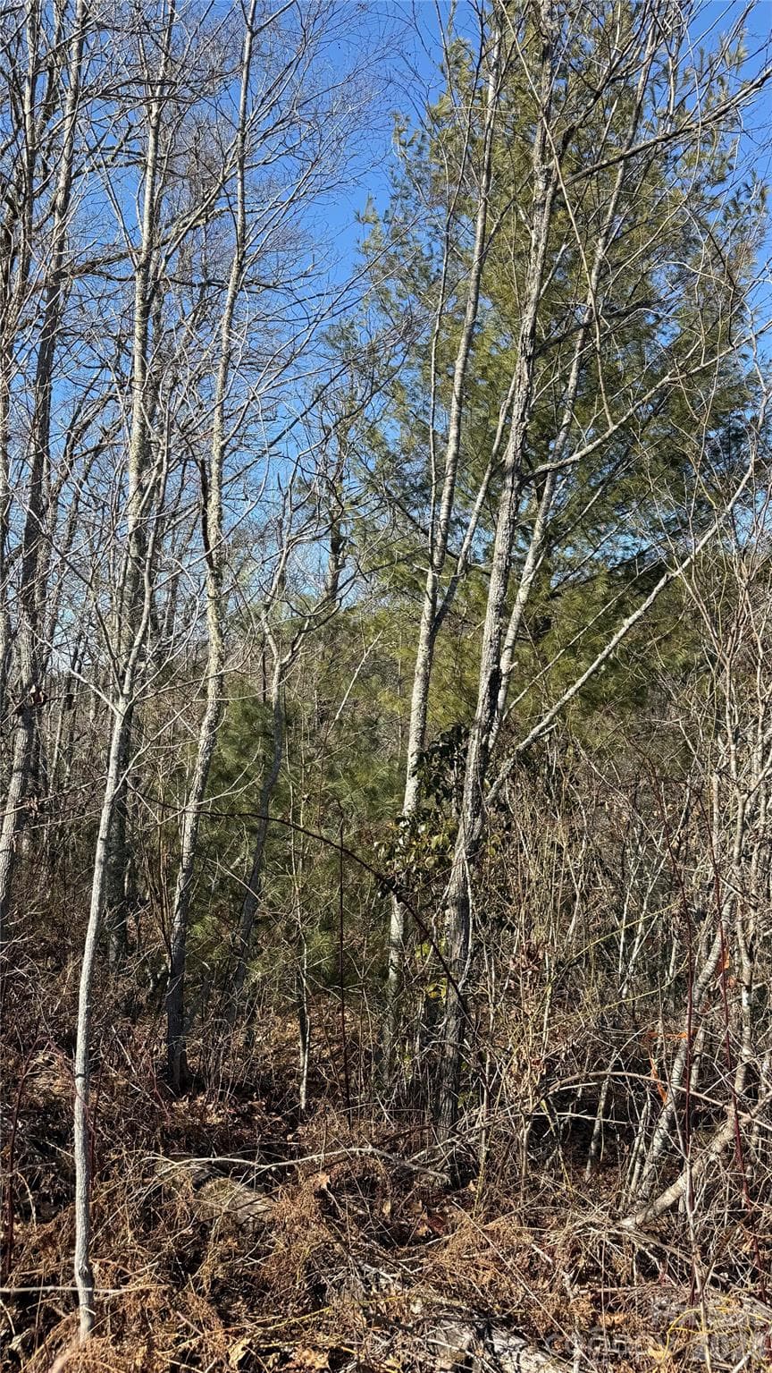 Lot at 207 Receptive Drive, Glenville, photo 19 of 27