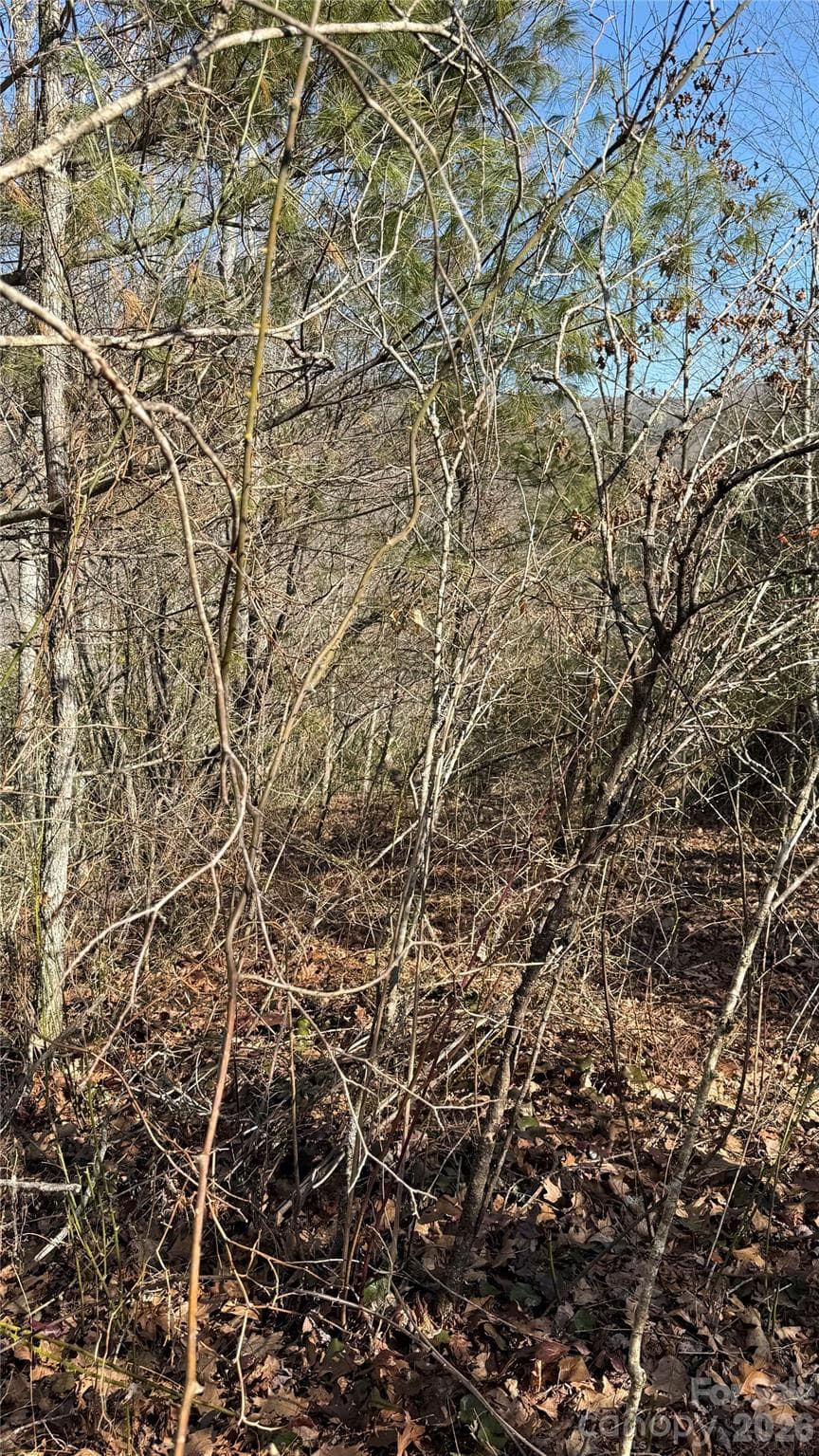 Lot at 207 Receptive Drive, Glenville, photo 21 of 27