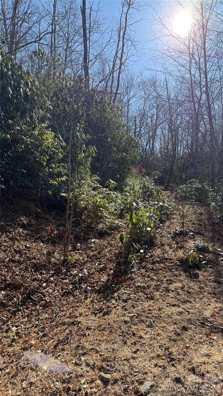 Lot at 207 Receptive Drive, Glenville, photo 23 of 27
