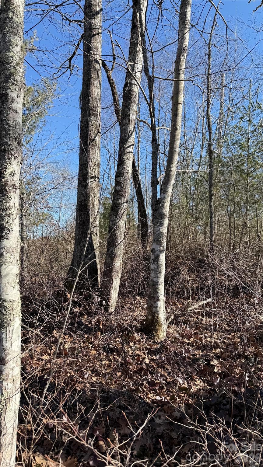 Lot at 207 Receptive Drive, Glenville, photo 25 of 27