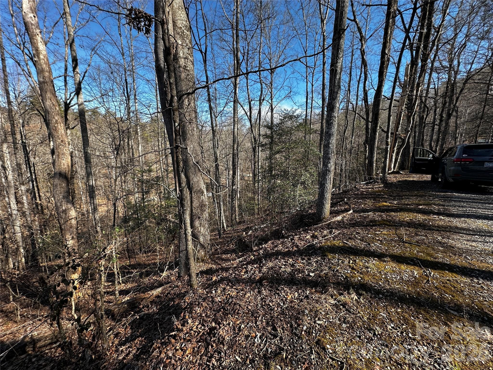 Lot at Lot 11 Blue Mist Mountain Road, Whittier, photo 2 of 19