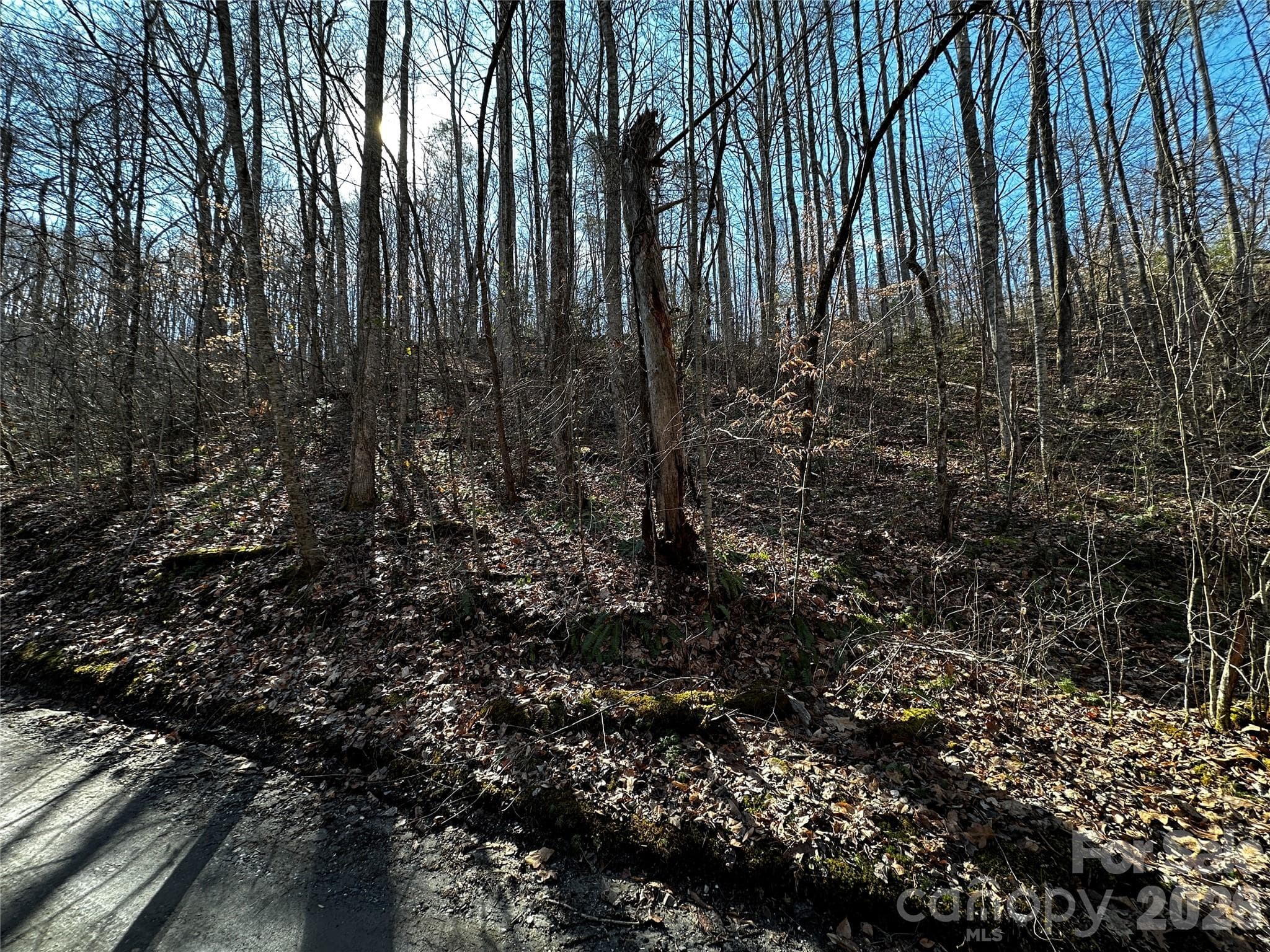 Lot at Lot 11 Blue Mist Mountain Road, Whittier, photo 3 of 19