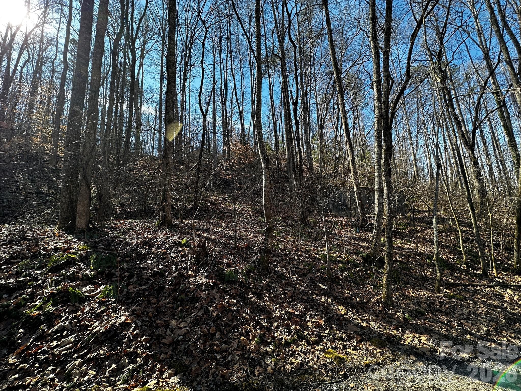 Lot at Lot 11 Blue Mist Mountain Road, Whittier, photo 7 of 19