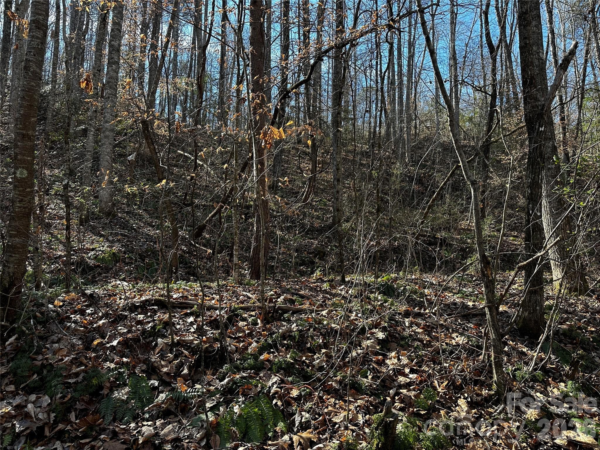 Lot at Lot 11 Blue Mist Mountain Road, Whittier, photo 8 of 19