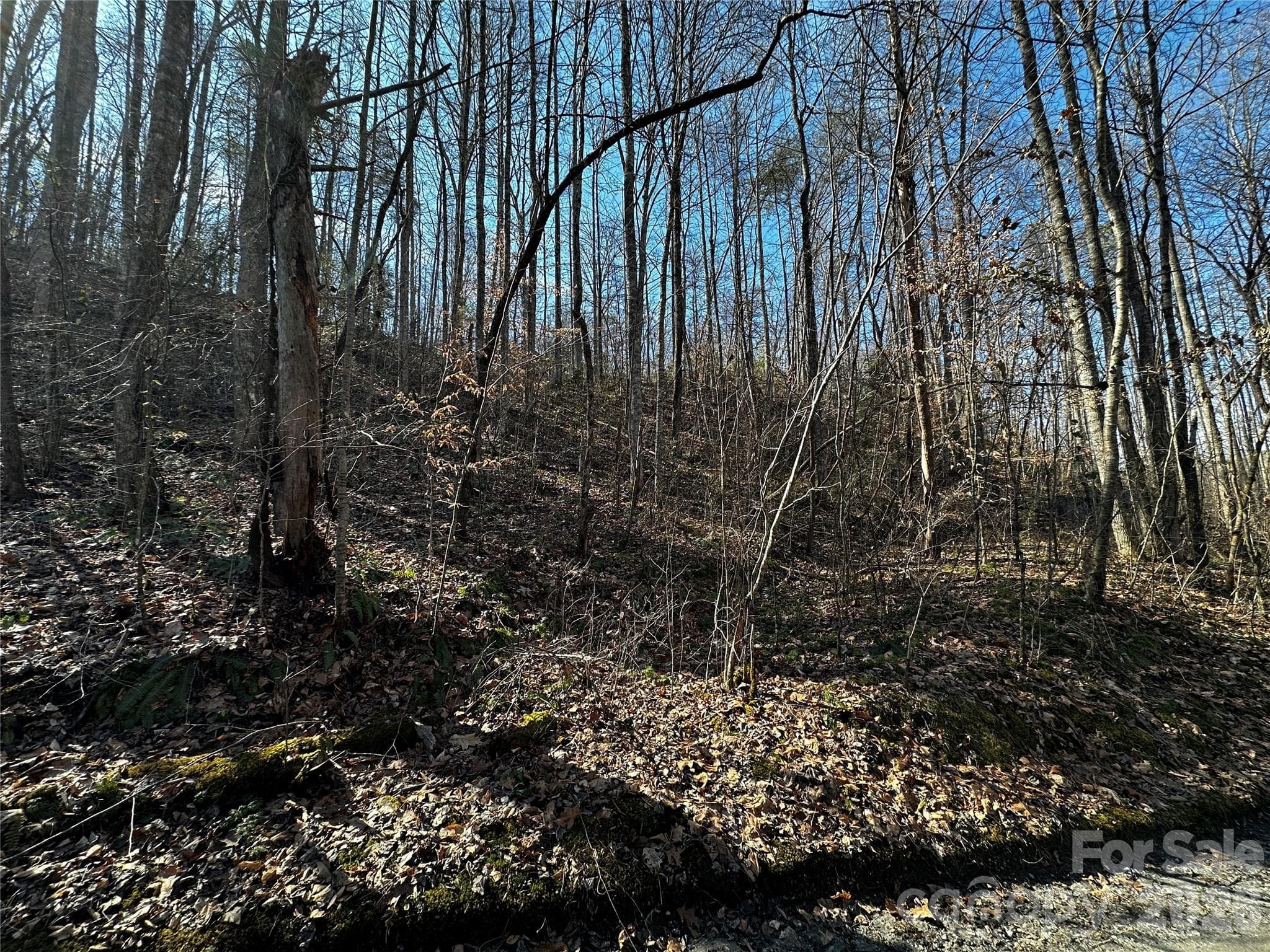 Lot at Lot 11 Blue Mist Mountain Road, Whittier, photo 9 of 19