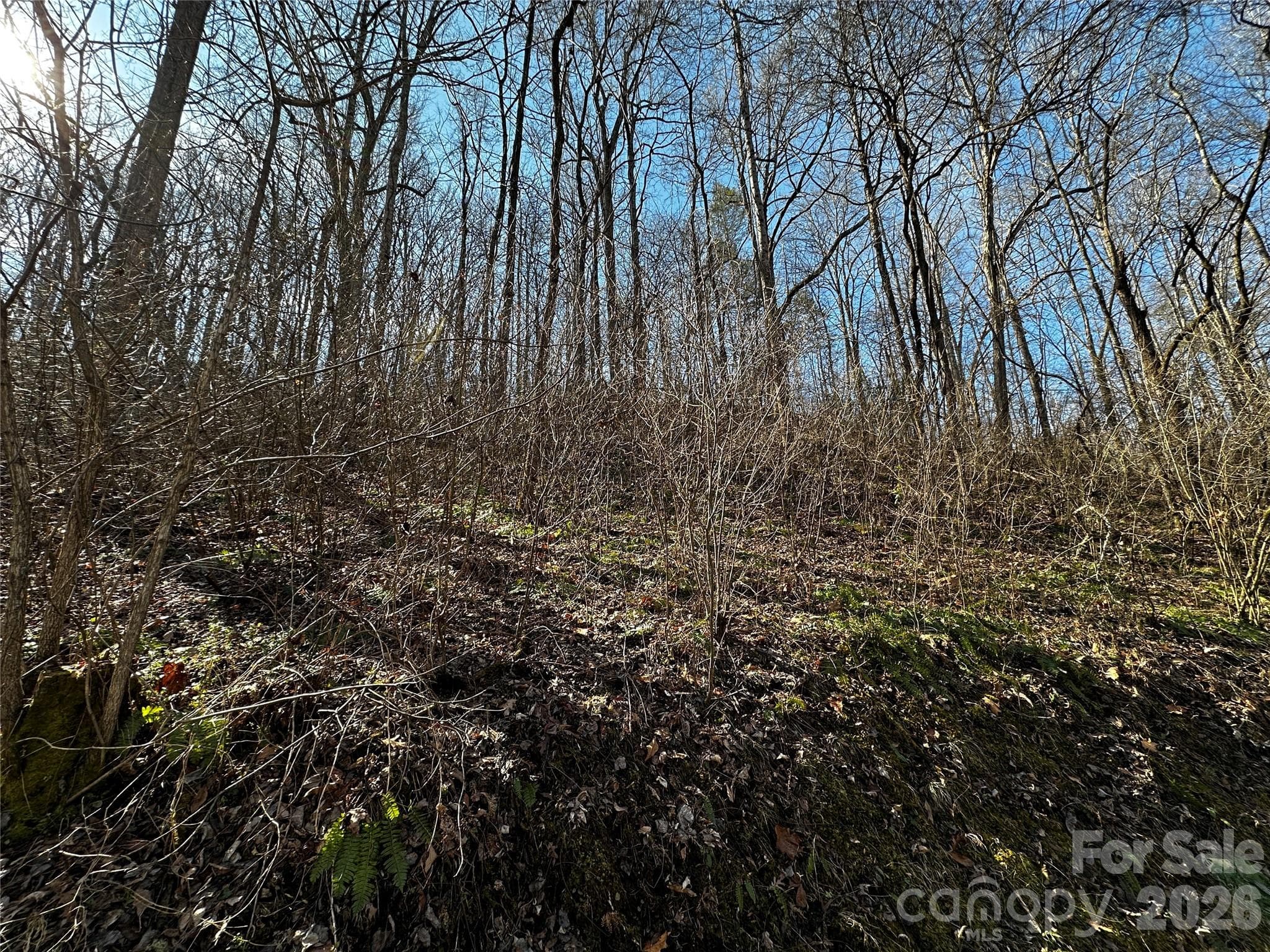 Lot at Lot 11 Blue Mist Mountain Road, Whittier, photo 10 of 19