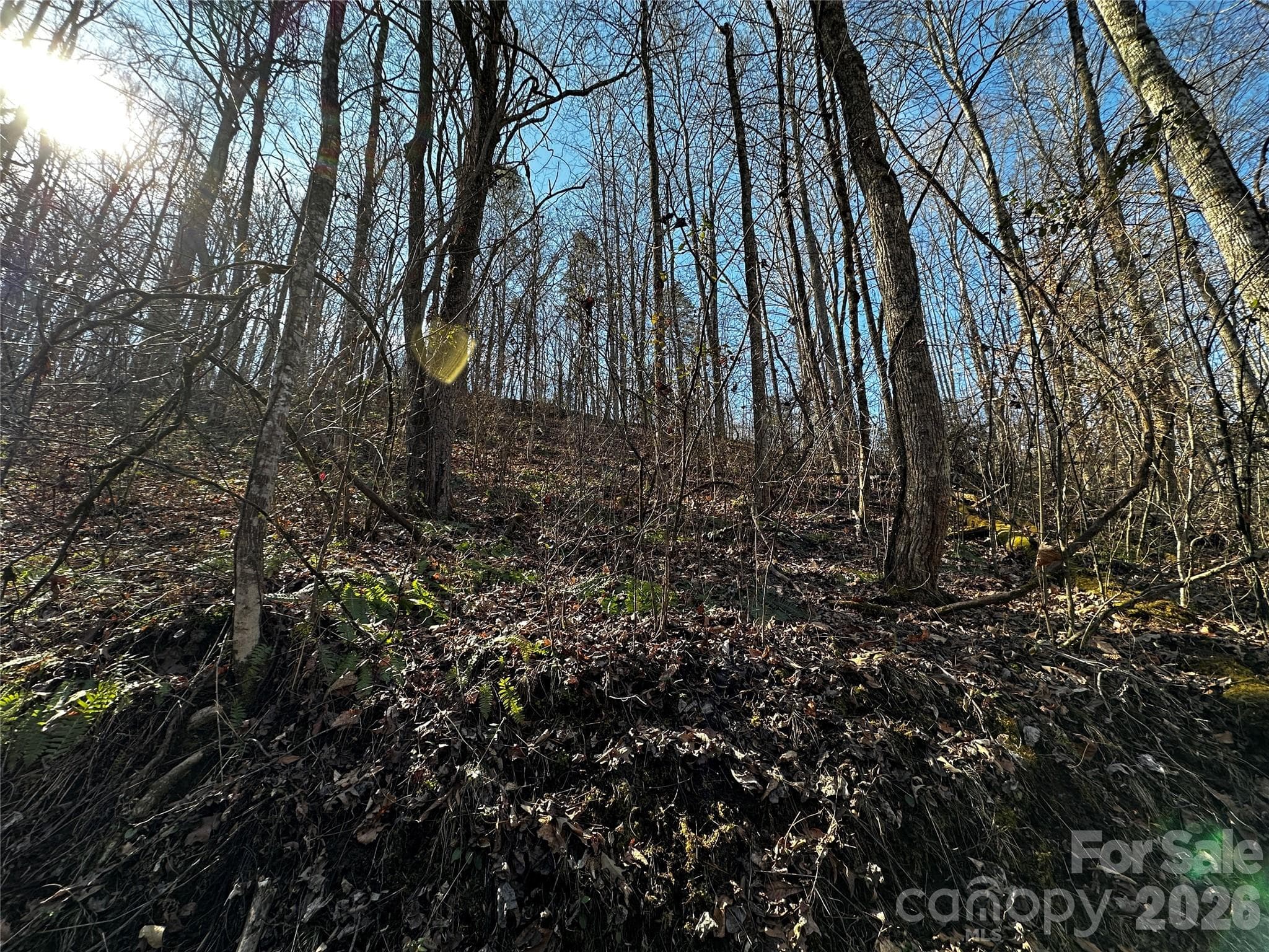 Lot at Lot 11 Blue Mist Mountain Road, Whittier, photo 11 of 19