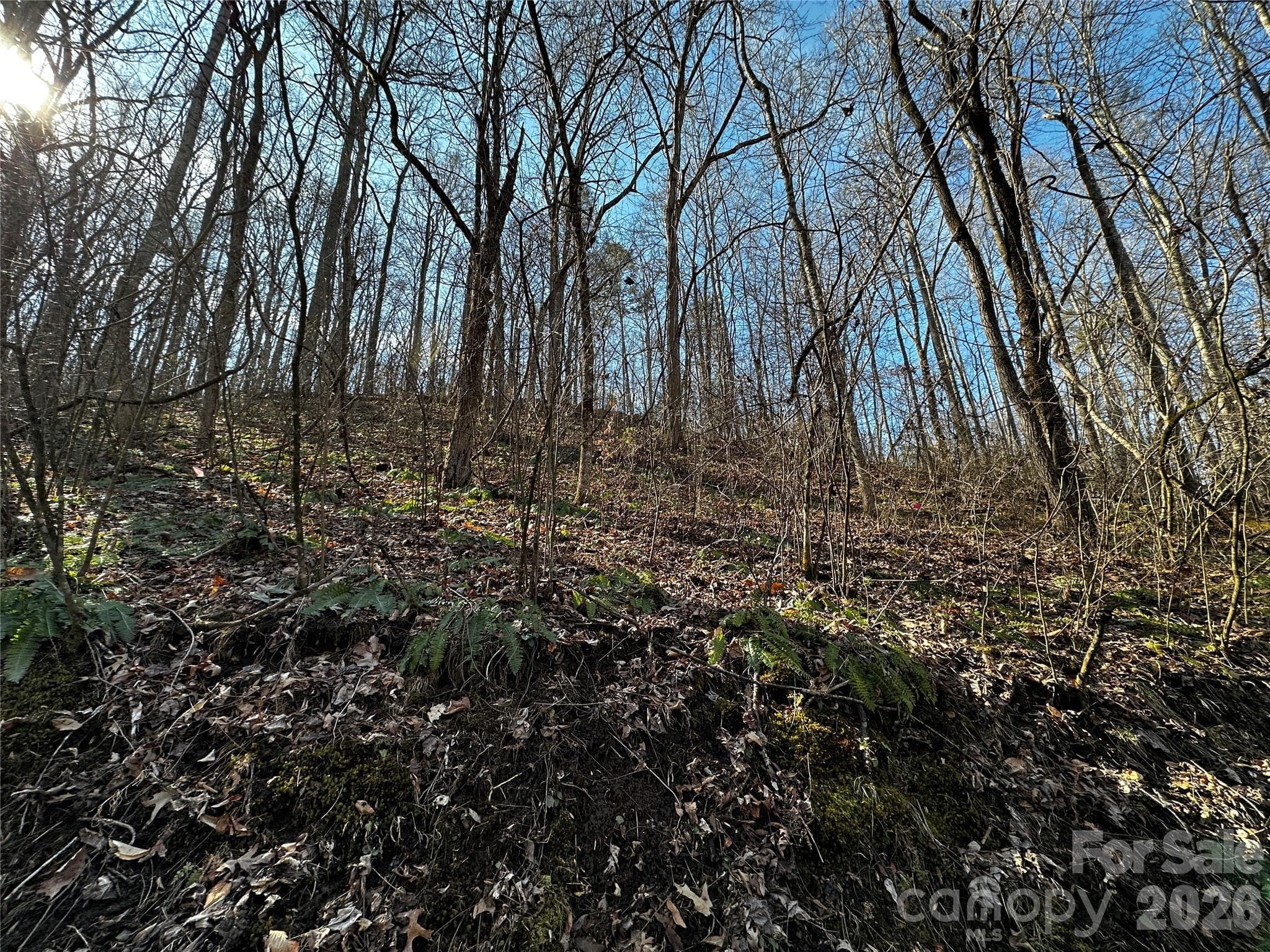 Lot at Lot 11 Blue Mist Mountain Road, Whittier, photo 12 of 19