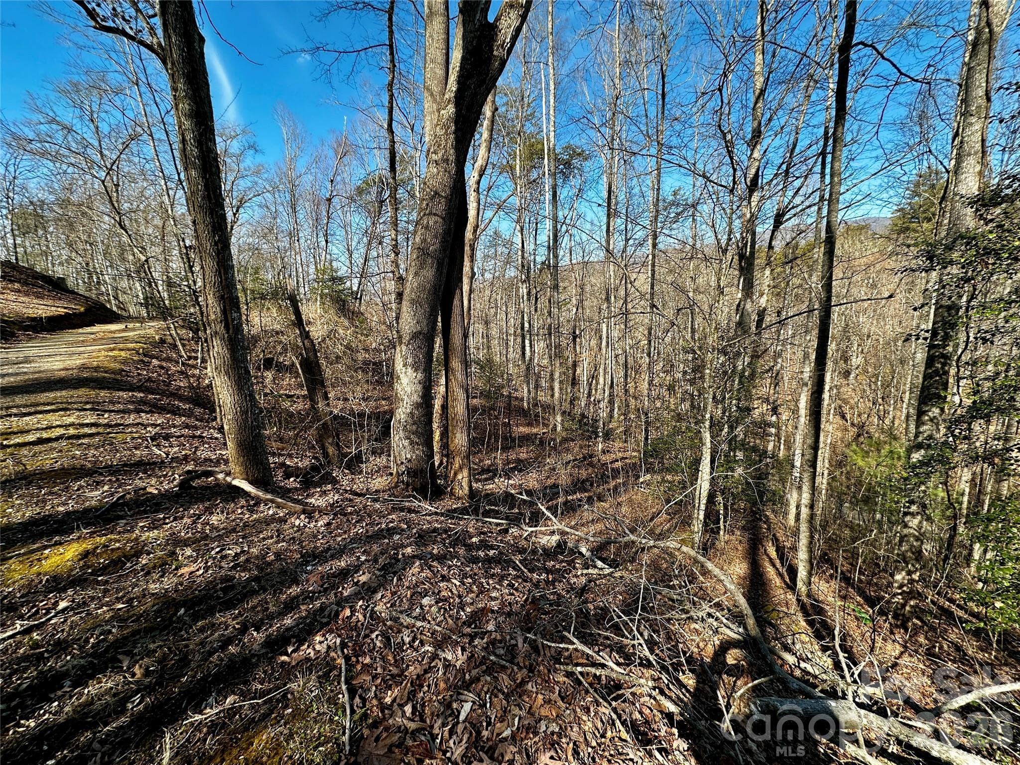 Lot at Lot 11 Blue Mist Mountain Road, Whittier, photo 13 of 19