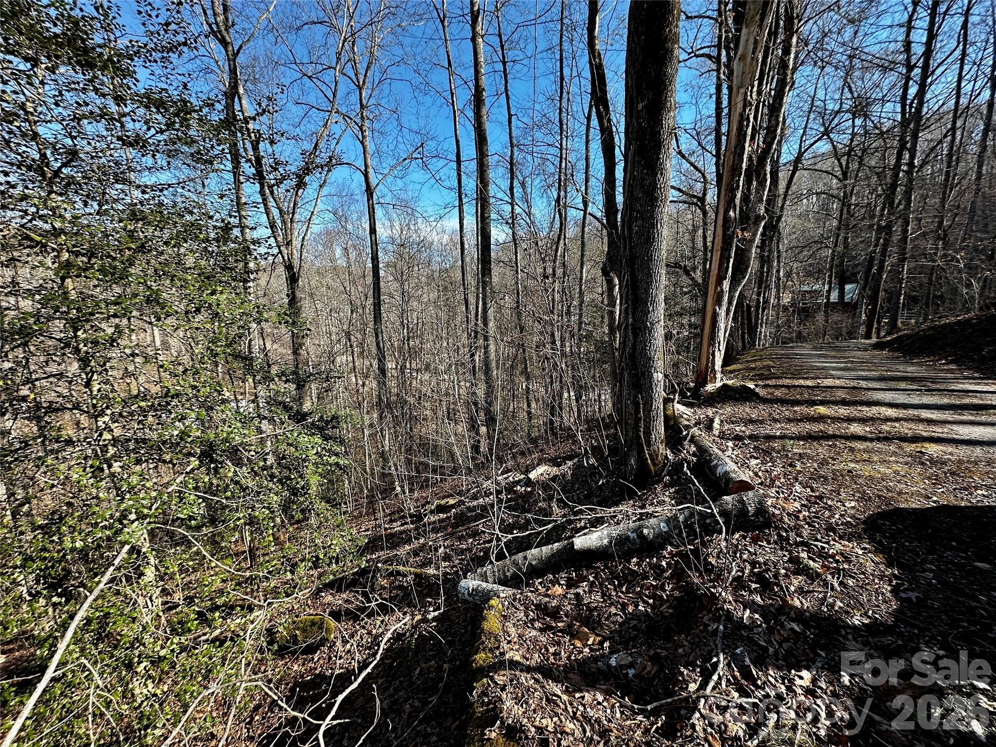 Lot at Lot 11 Blue Mist Mountain Road, Whittier, photo 16 of 19