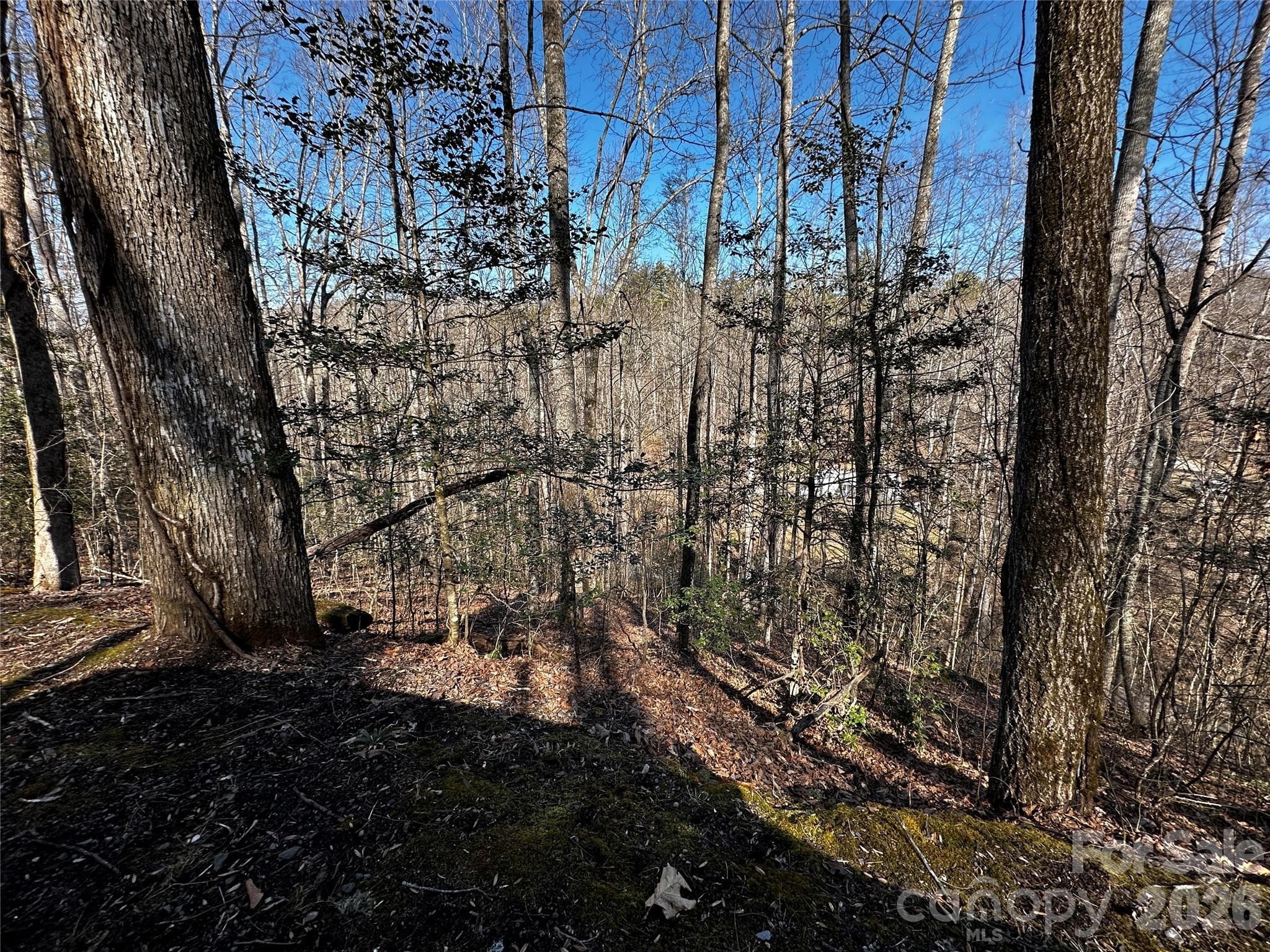 Lot at Lot 11 Blue Mist Mountain Road, Whittier, photo 17 of 19