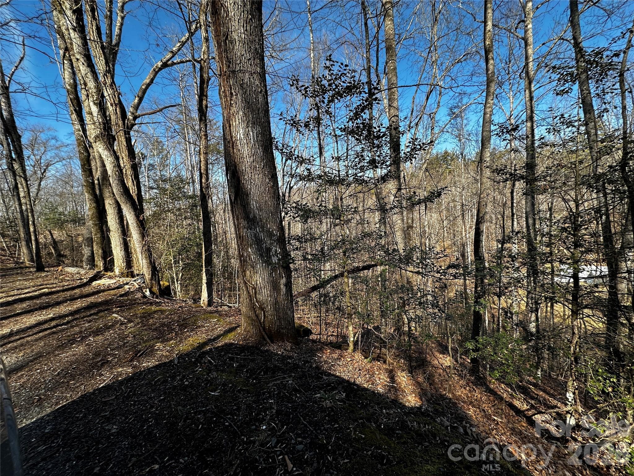 Lot at Lot 11 Blue Mist Mountain Road, Whittier, photo 18 of 19