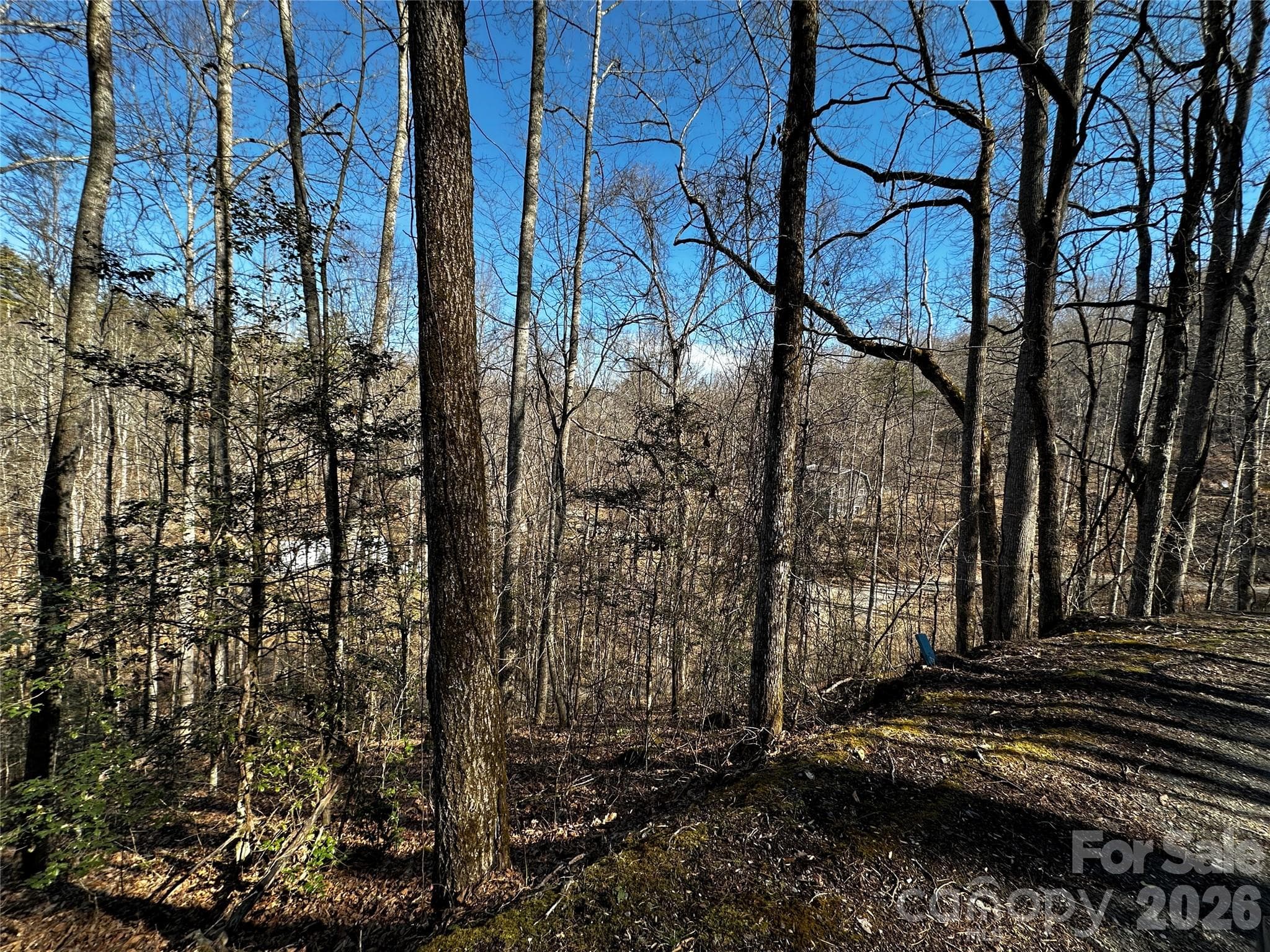 Lot at Lot 11 Blue Mist Mountain Road, Whittier, photo 19 of 19