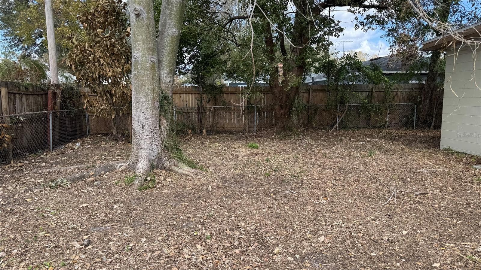 back yard area - 2925 BELLWOOD AVE, LAKELAND