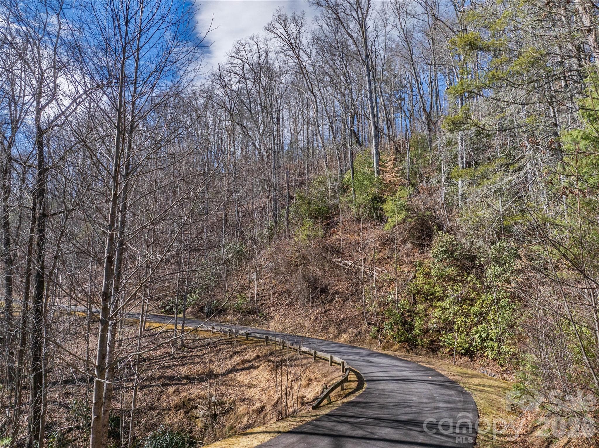 Lot at Brevard, photo 14 of 26