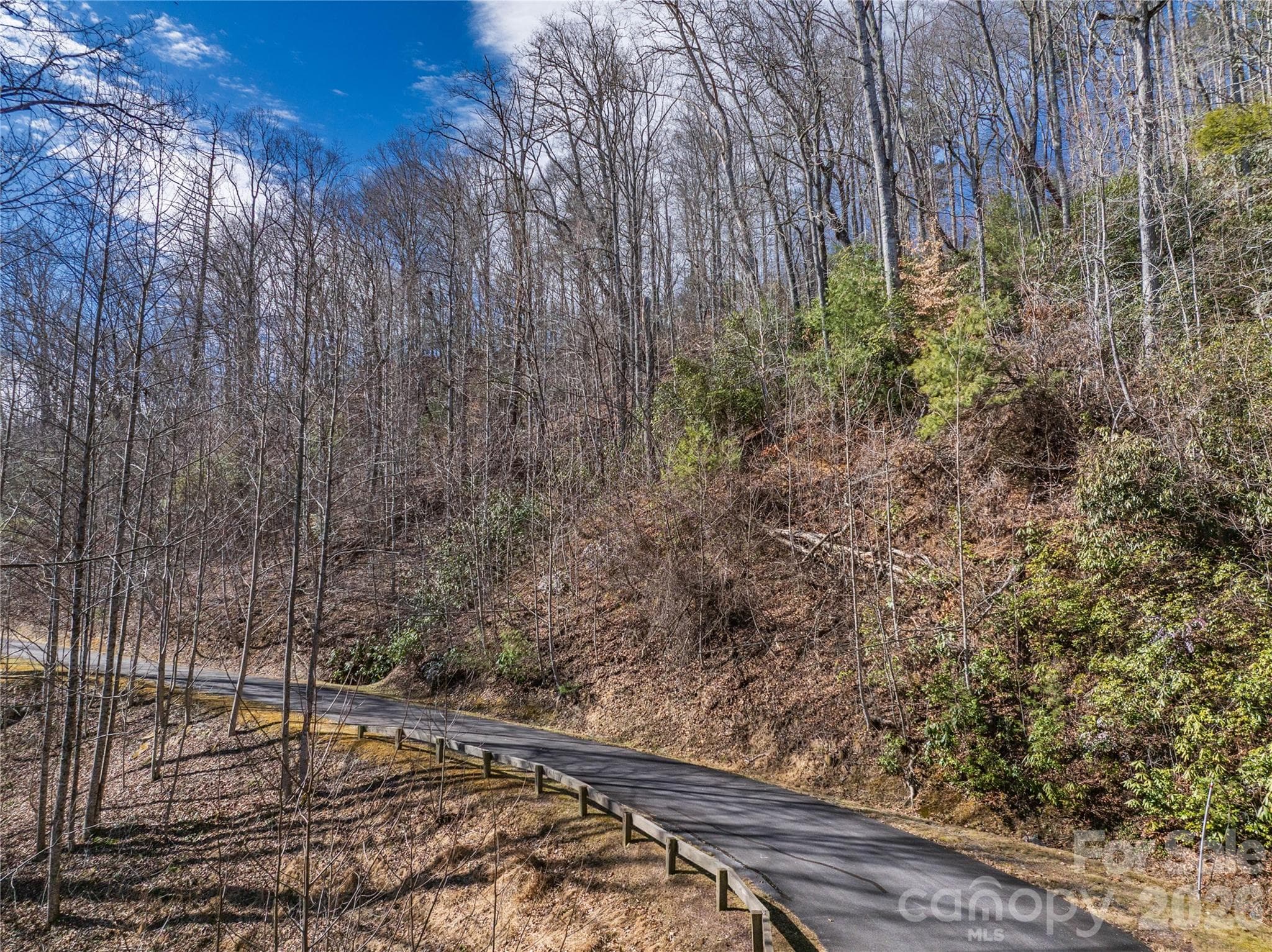 Lot at Brevard, photo 15 of 26