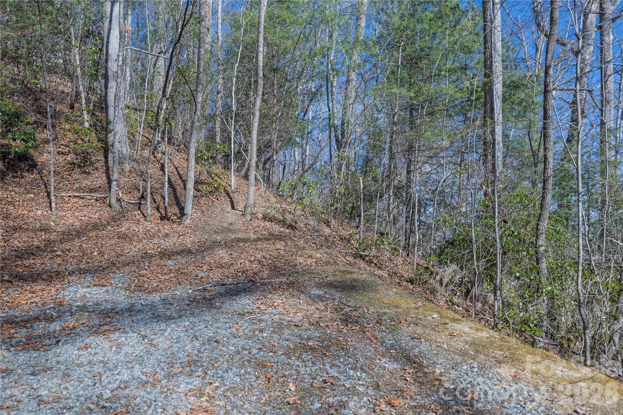 Lot at Brevard, photo 16 of 26