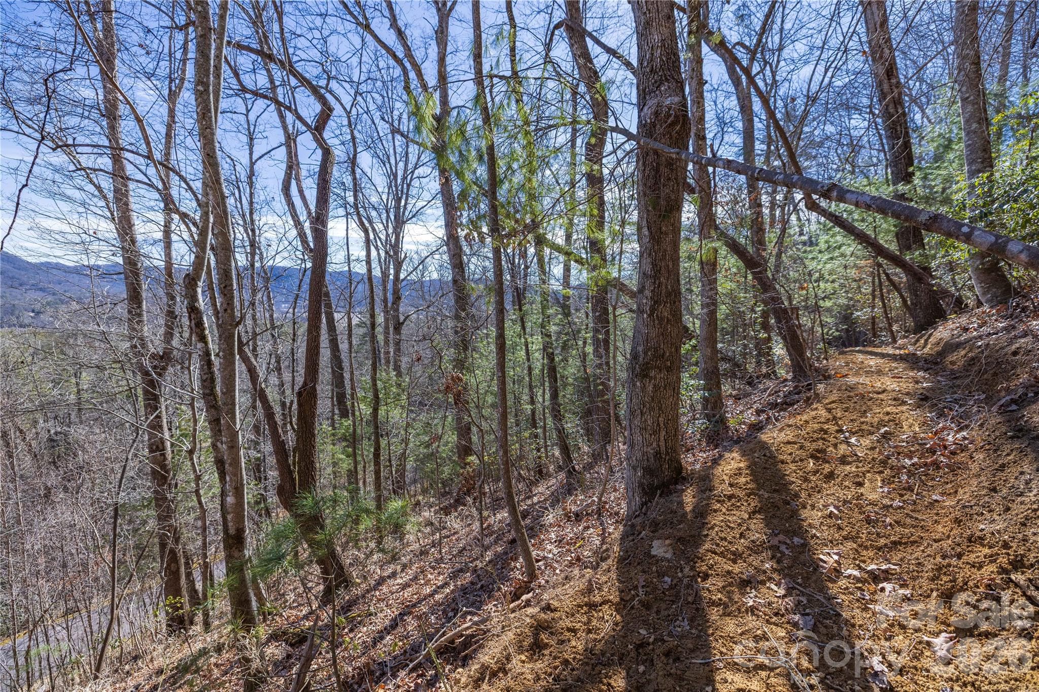 Lot at Brevard, photo 22 of 26