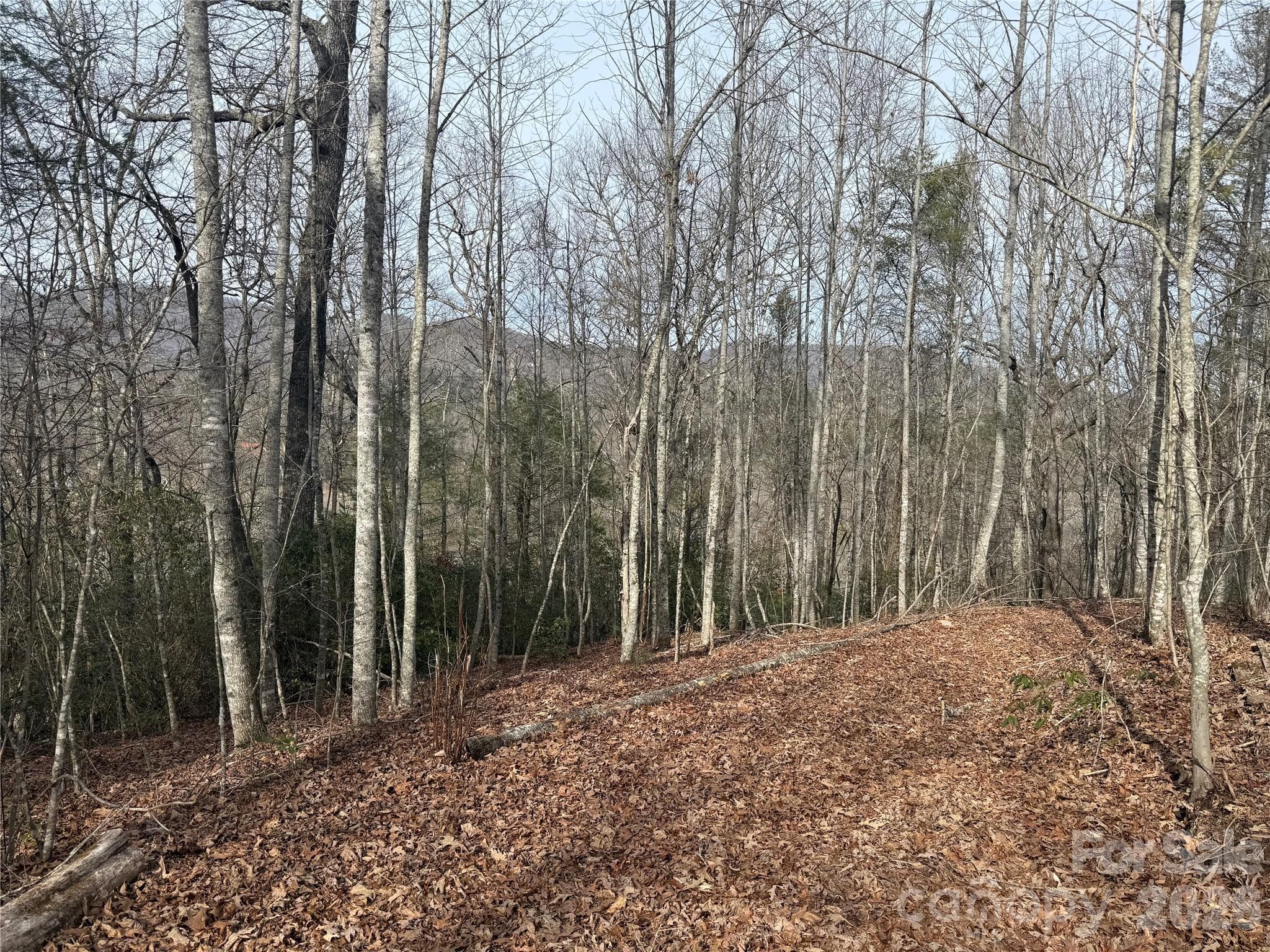 Lot 11 potential pad - Lot 10, 11 River Run Run, Franklin