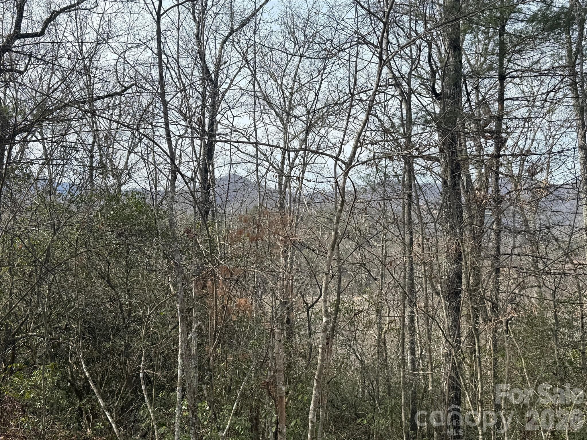 Lot 11 view - Lot 10, 11 River Run Run, Franklin