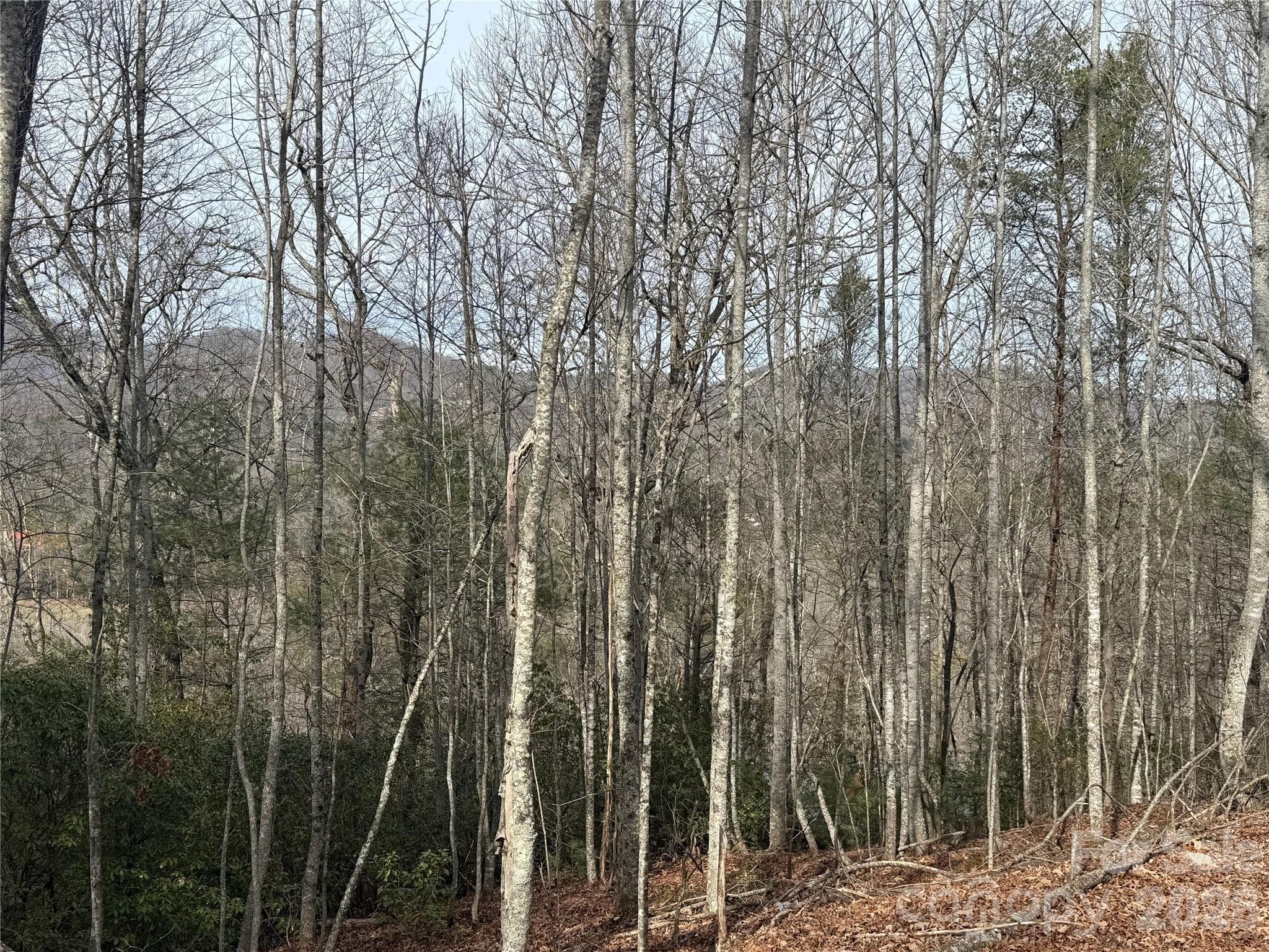 Lot 11 View - Lot 10, 11 River Run Run, Franklin