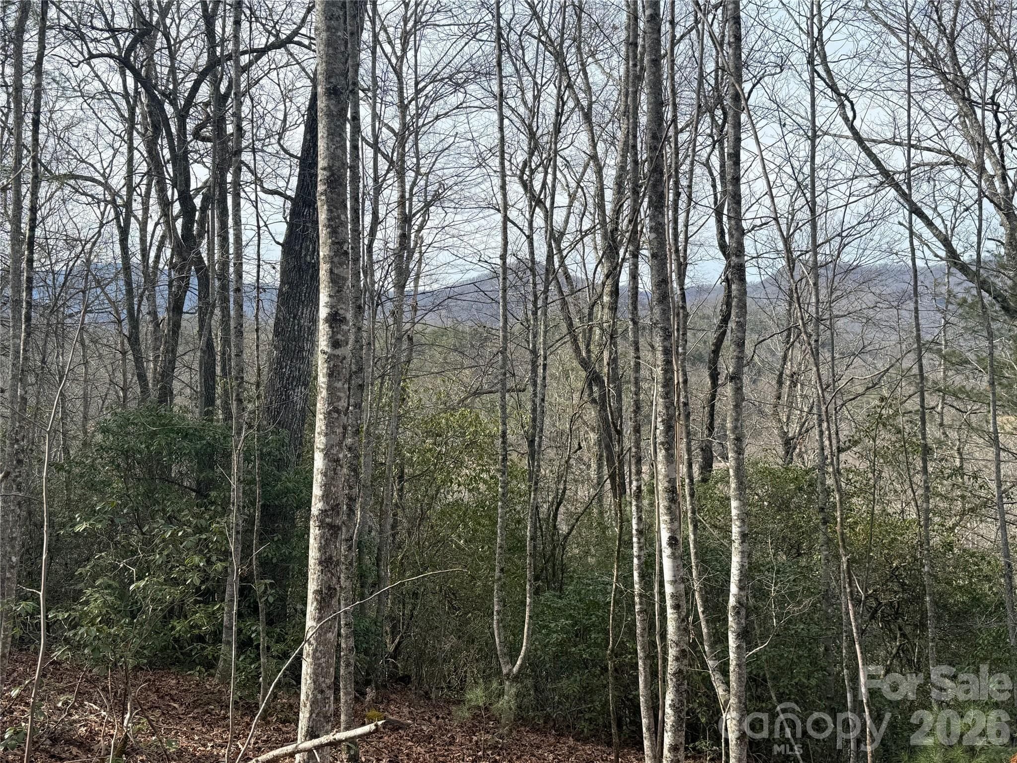 Lot 11 view - Lot 10, 11 River Run Run, Franklin