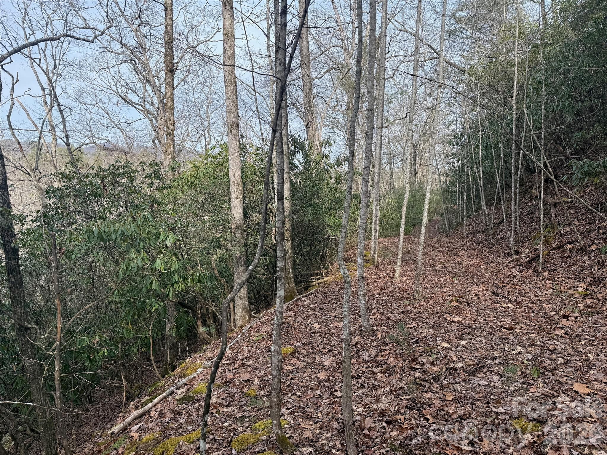 Old paved road to Lot 10 - Lot 10, 11 River Run Run, Franklin