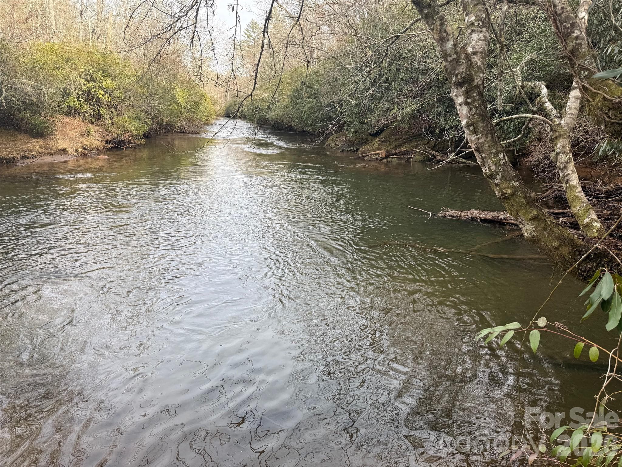 Take a dip or catch a fish? - Lot 10, 11 River Run Run, Franklin
