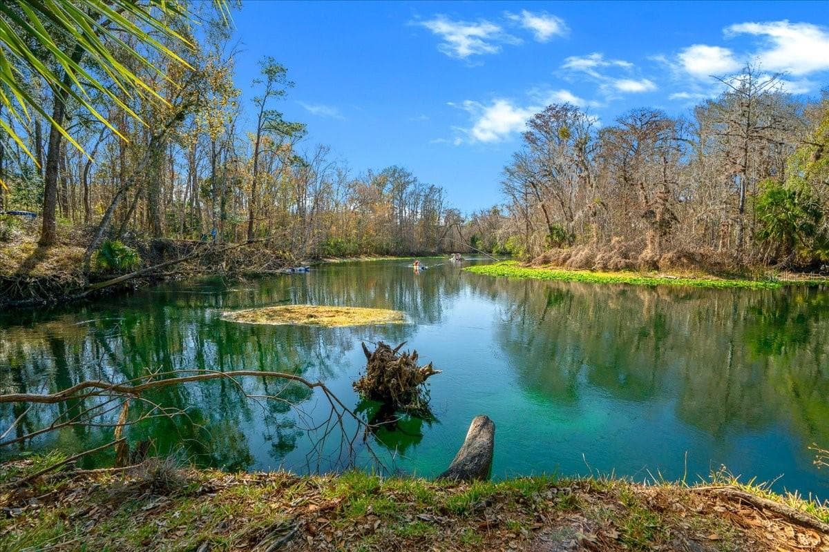Land at 3259 NE 102ND AVENUE RD, SILVER SPRINGS, photo 78 of 99